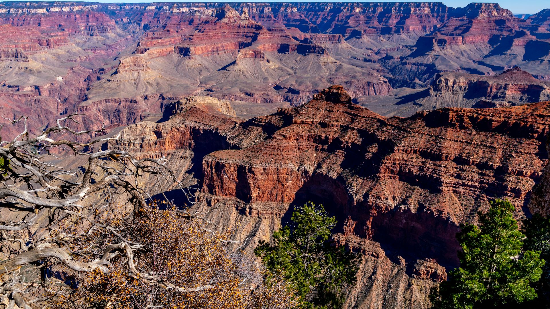 top view of red canyon