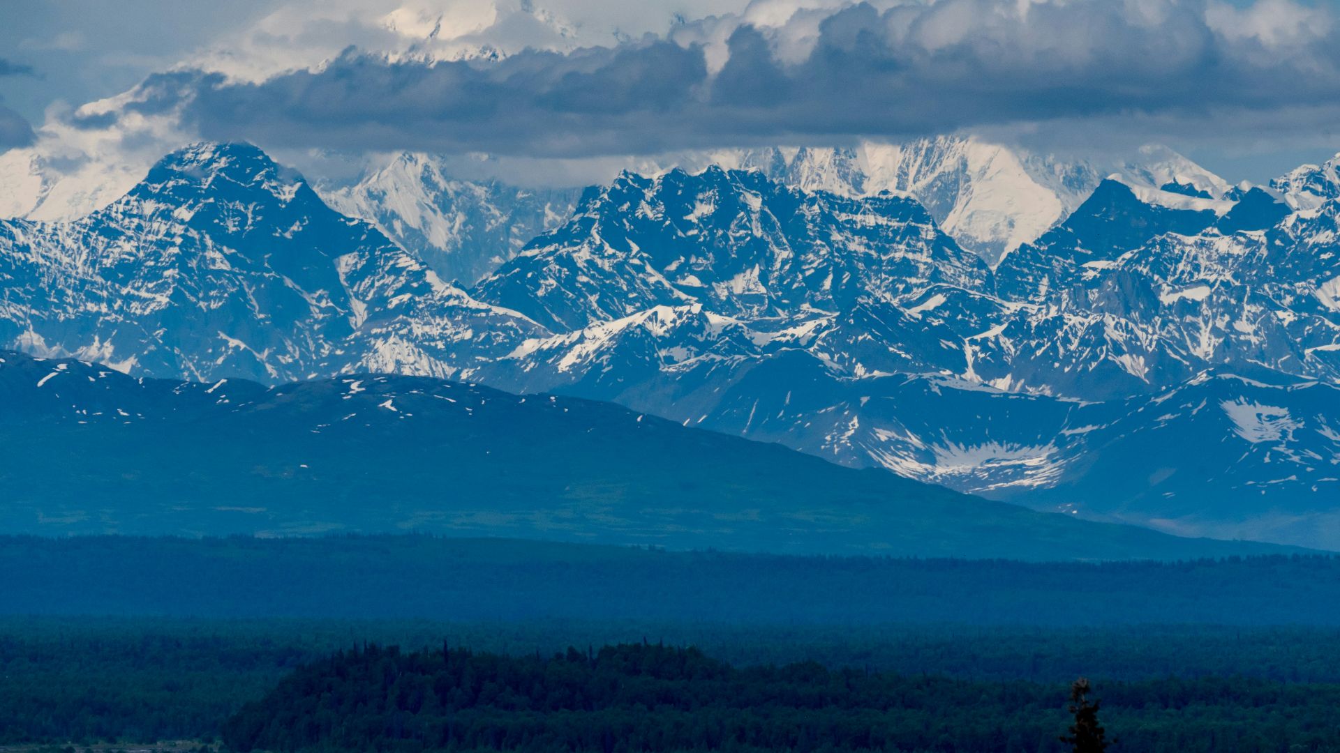 green grass field and snow covered mountains during daytime