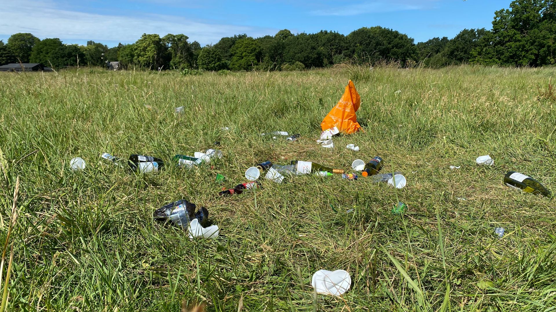 orange and white textile on green grass field during daytime