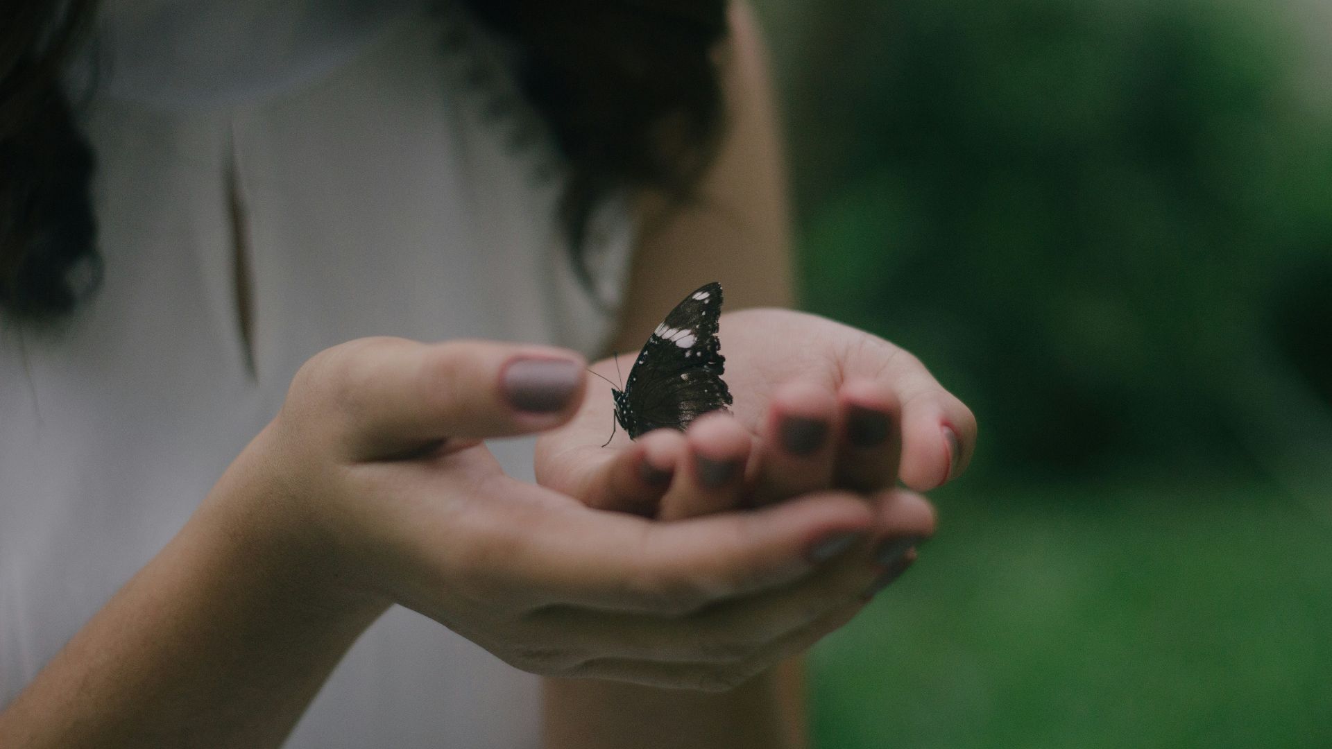 black butterfly on woman's palm