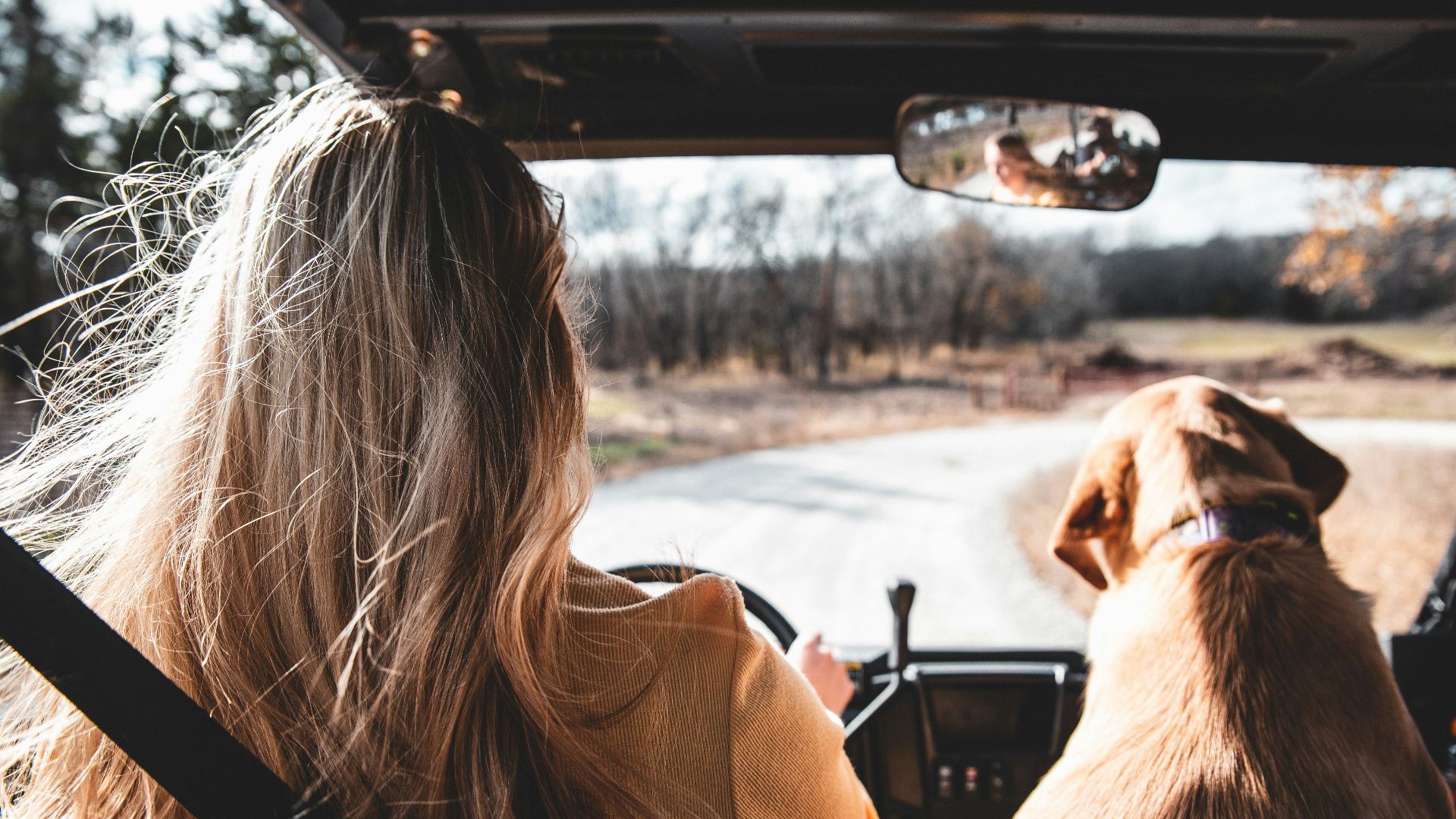 woman in brown long sleeve shirt sitting on car seat beside brown short coated dog during