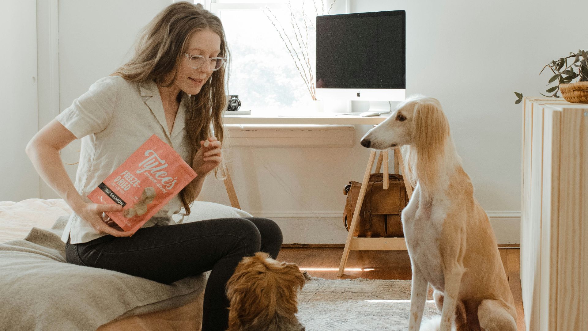 woman in gray shirt sitting on brown couch beside brown long coated dog