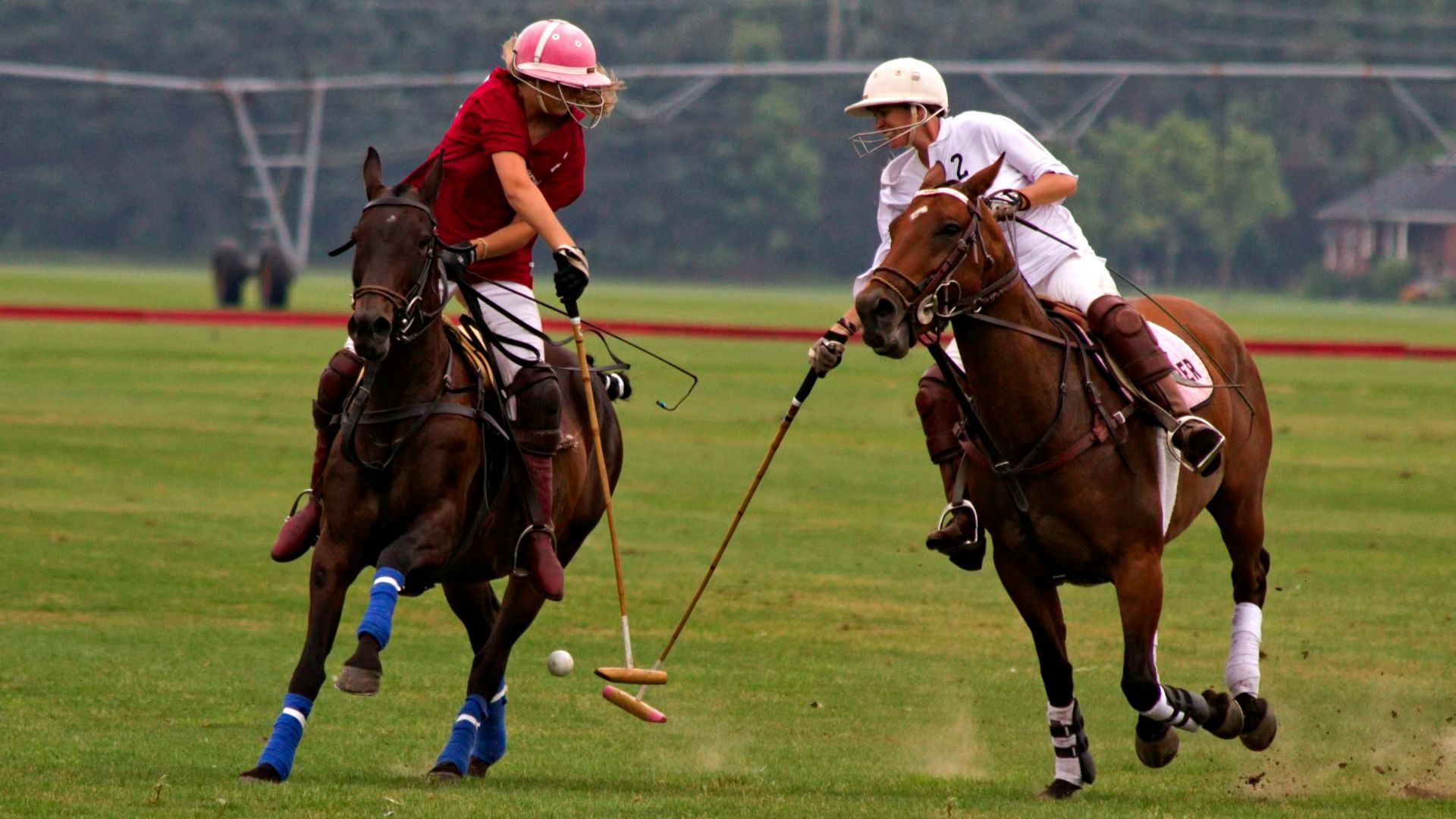 shallow focus photography of two man competing at the polo pony