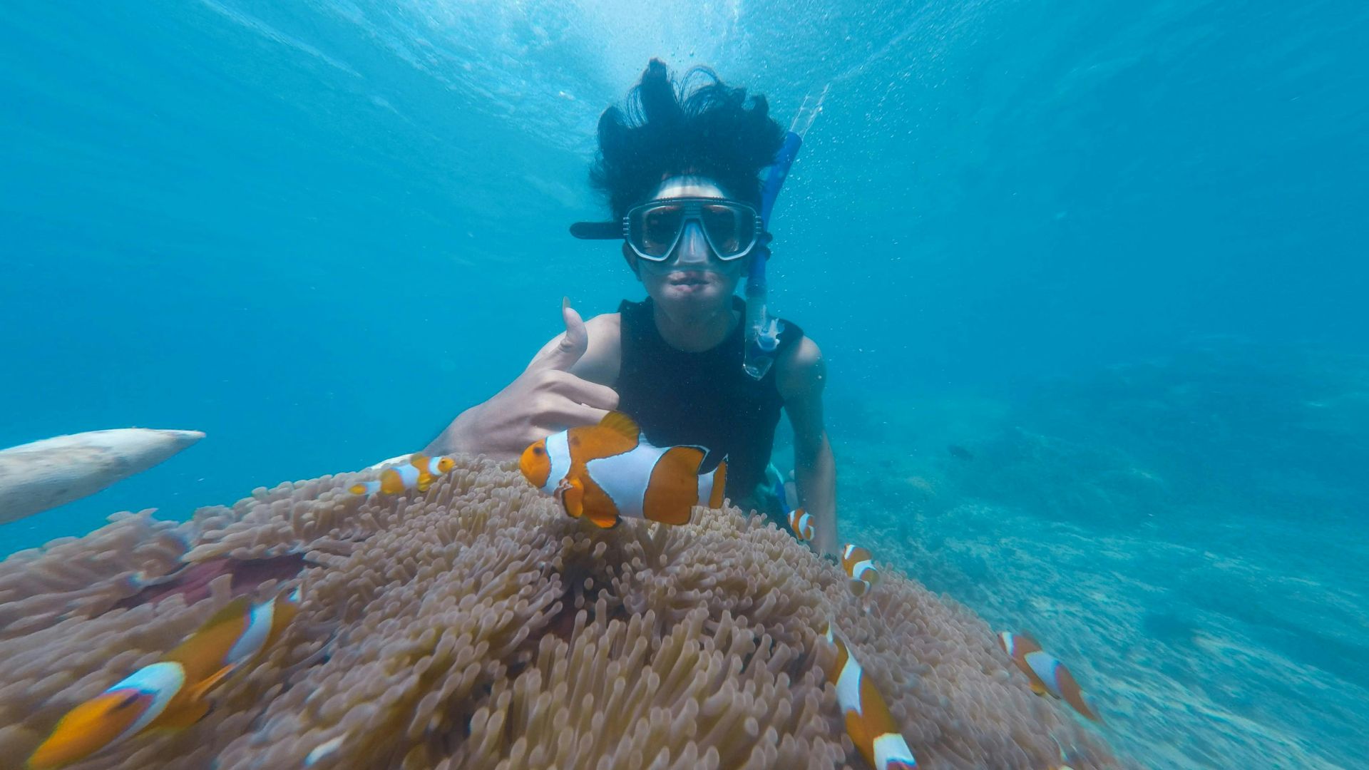 Bagus Tri Kuncoro .J