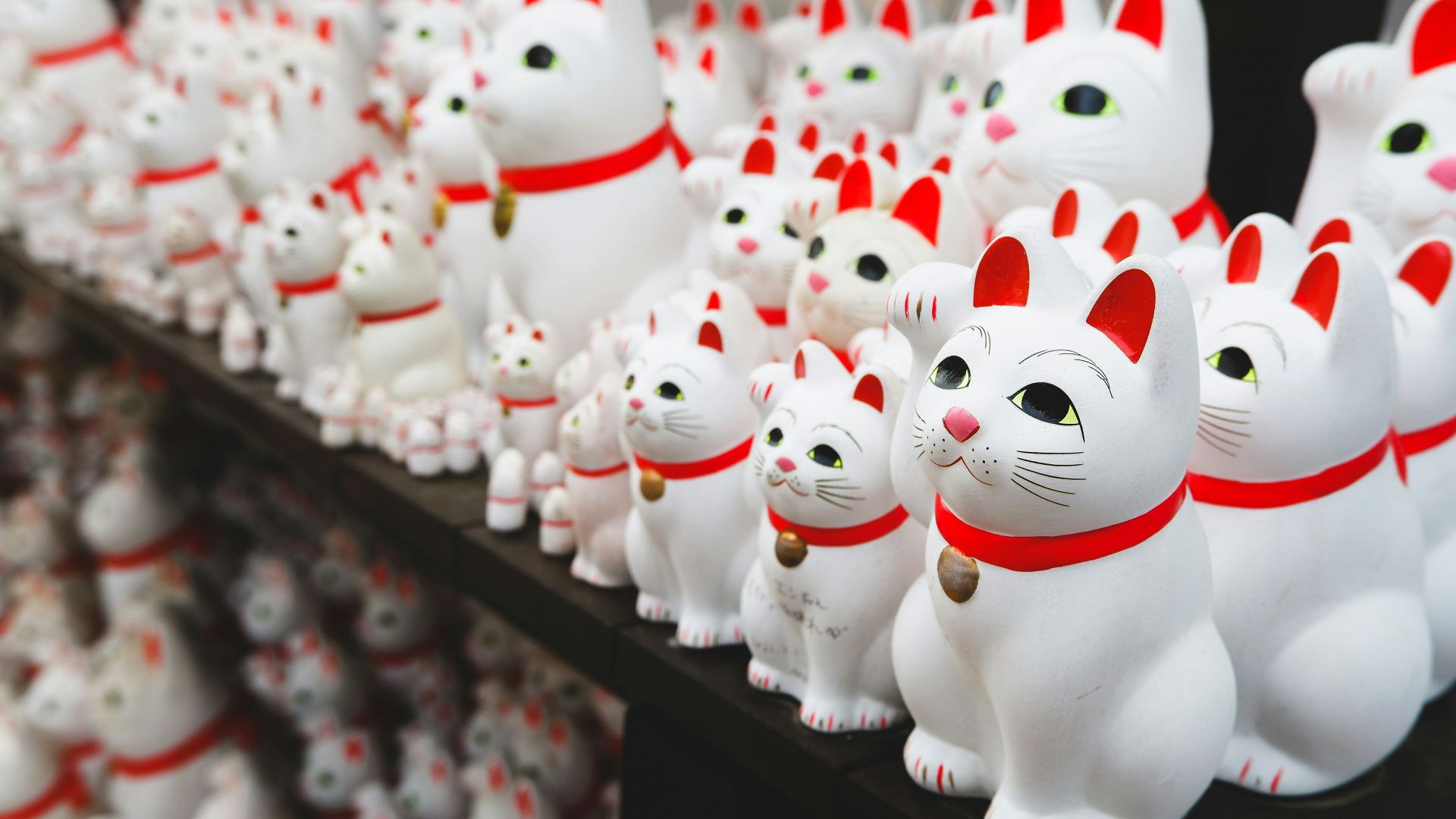 white and red dog plush toys