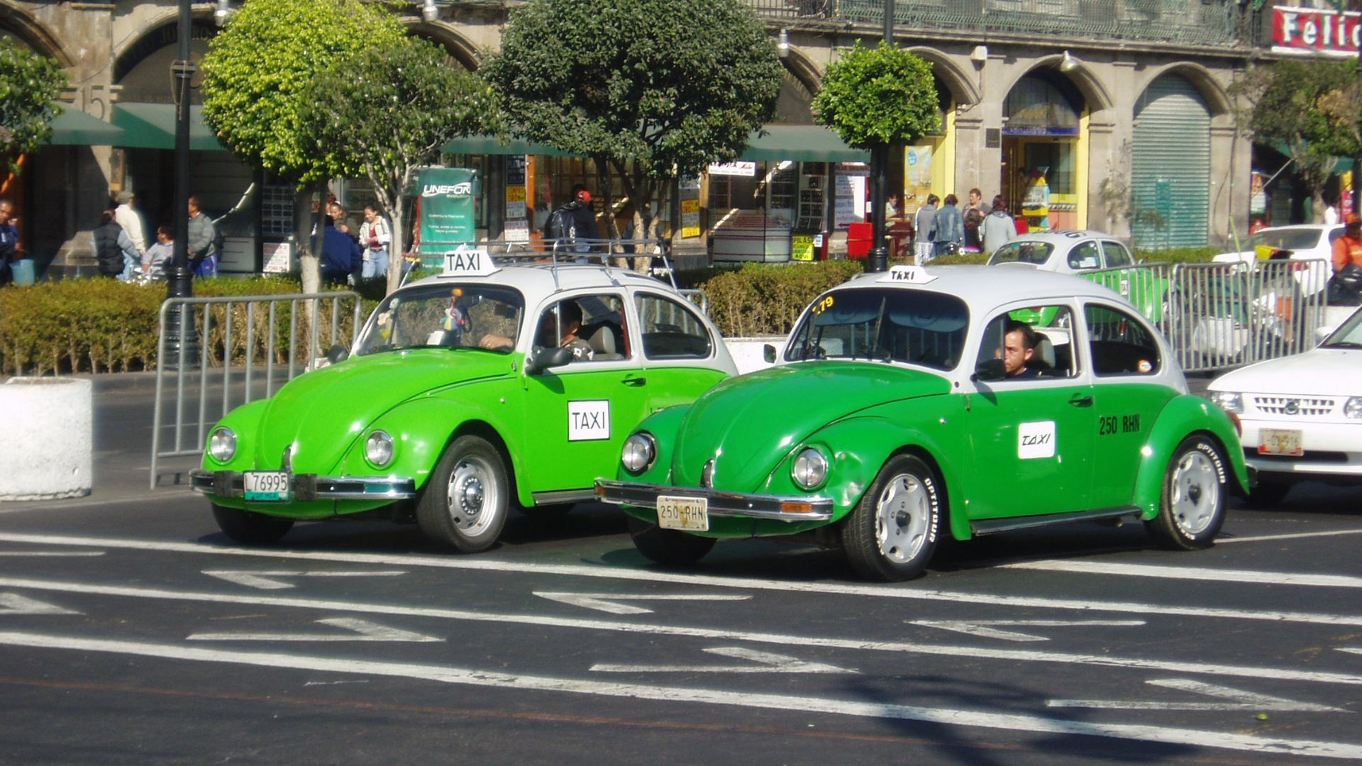 File:Taxis in Mexico City.jpg