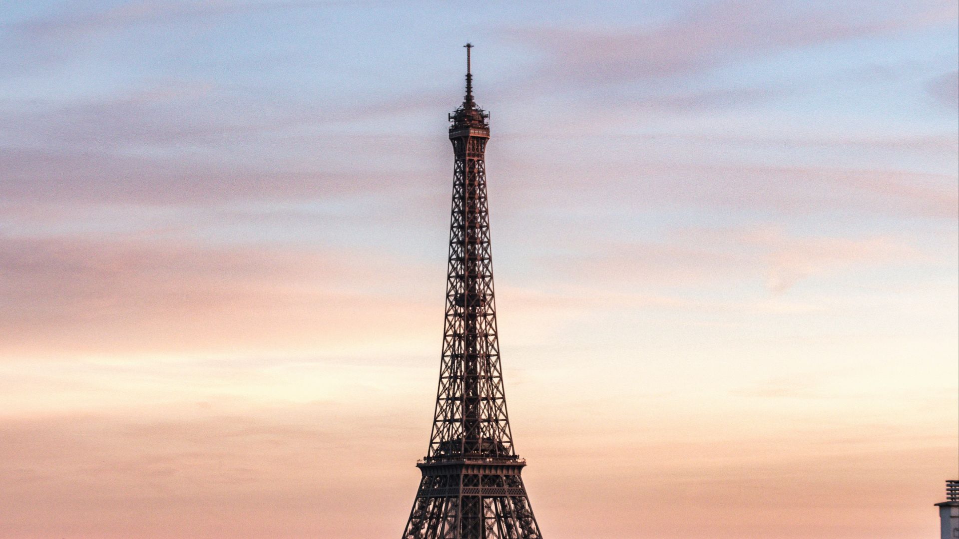 Eiffel Towe over the buildings
