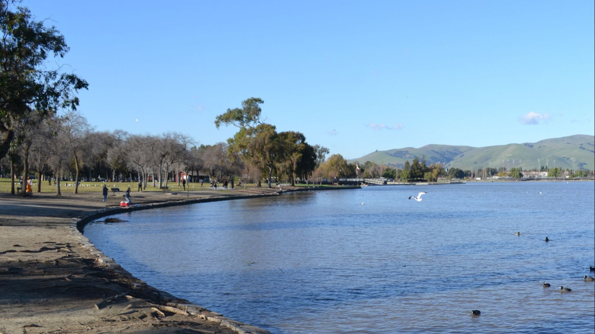 File:Lake Elizabeth in Fremont, California (cropped).JPG