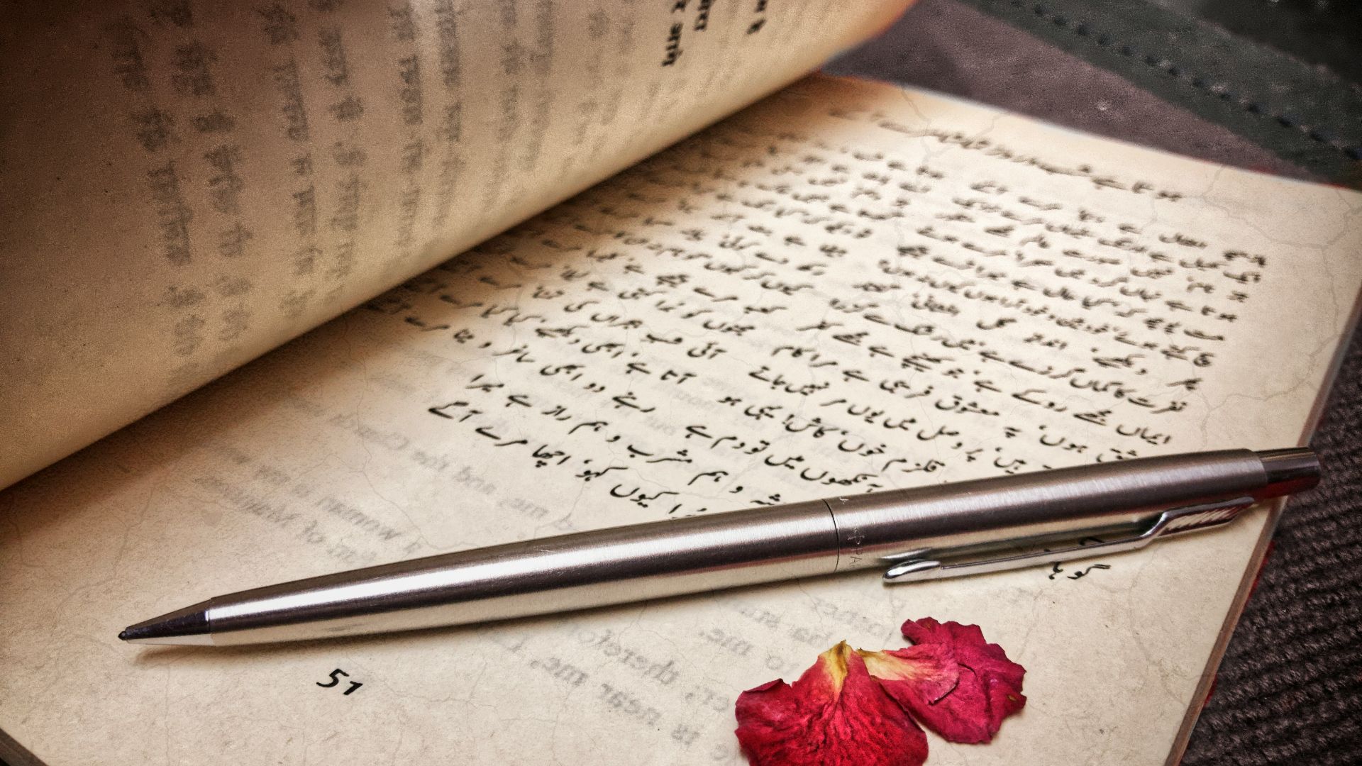 red rose on white paper