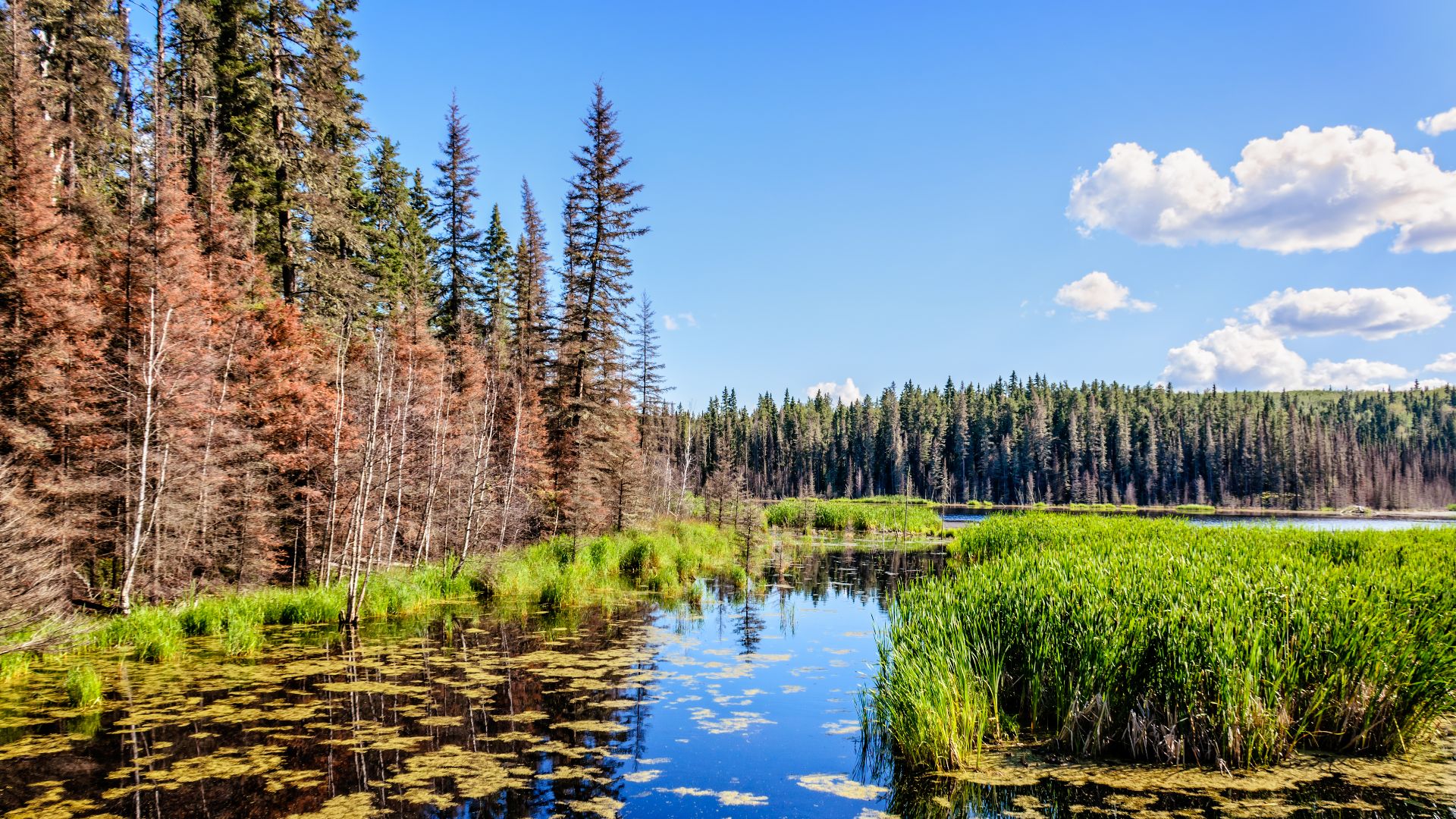 File:Waskesiu Lake in Prince Albert National Park Saskatchewan, Canada.jpg