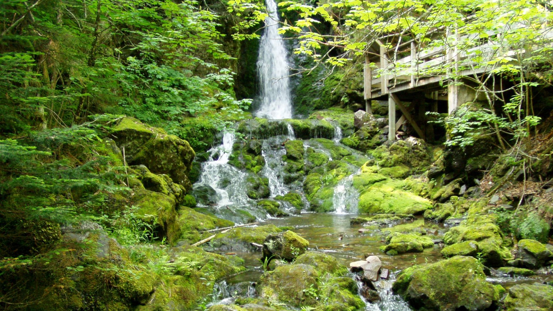 File:Fundy National Park of Canada 10.jpg