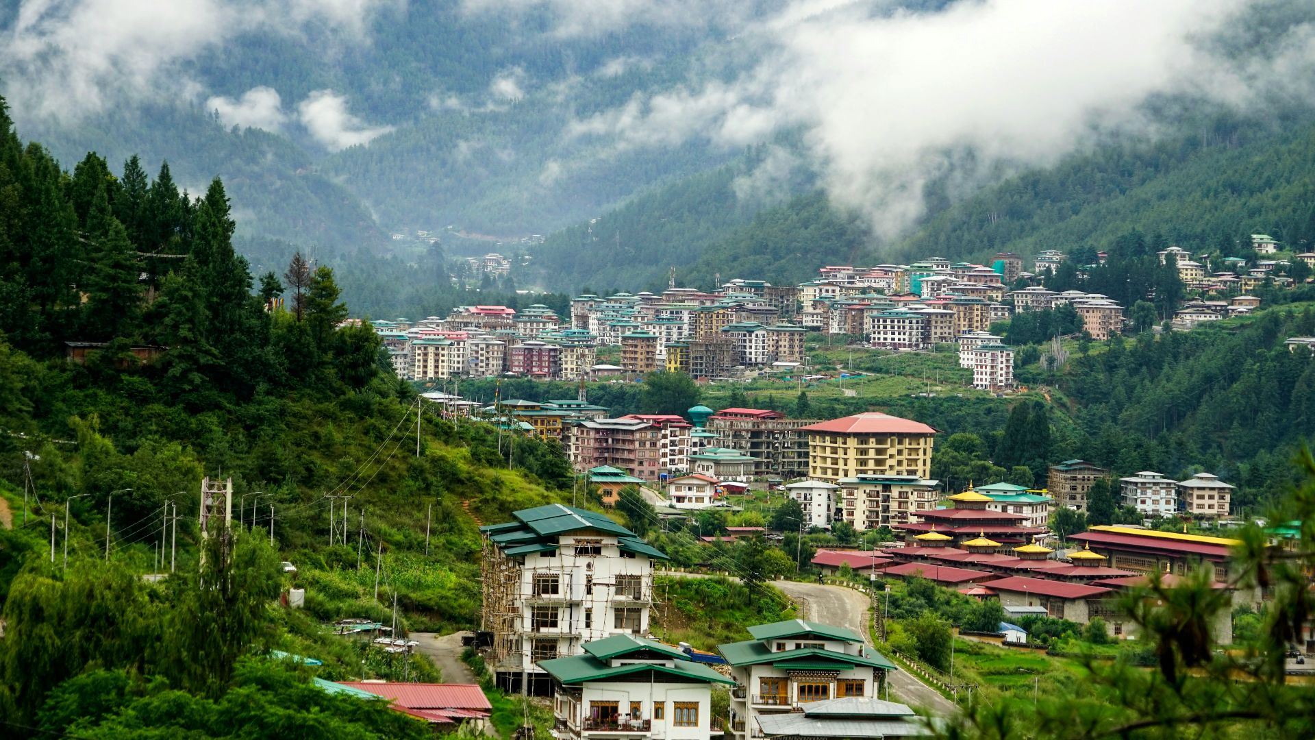 white and brown concrete houses near green trees under white clouds during daytime
