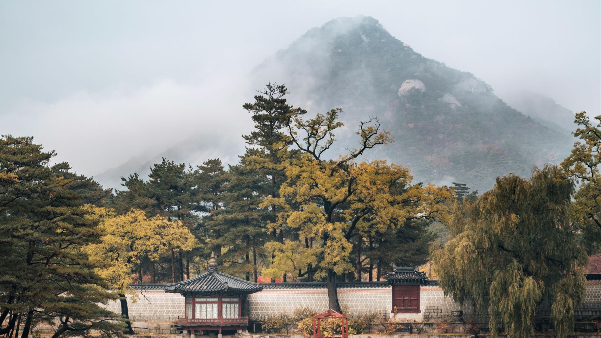 brown and white house near green trees and lake during daytime