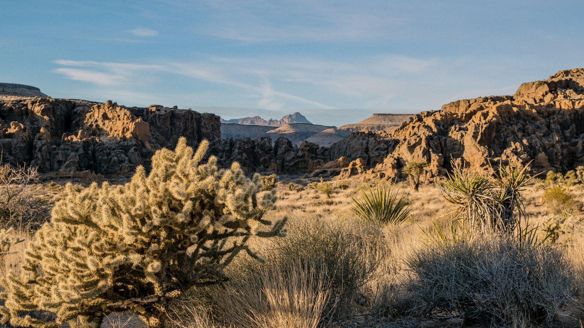 photo of mountain near trees