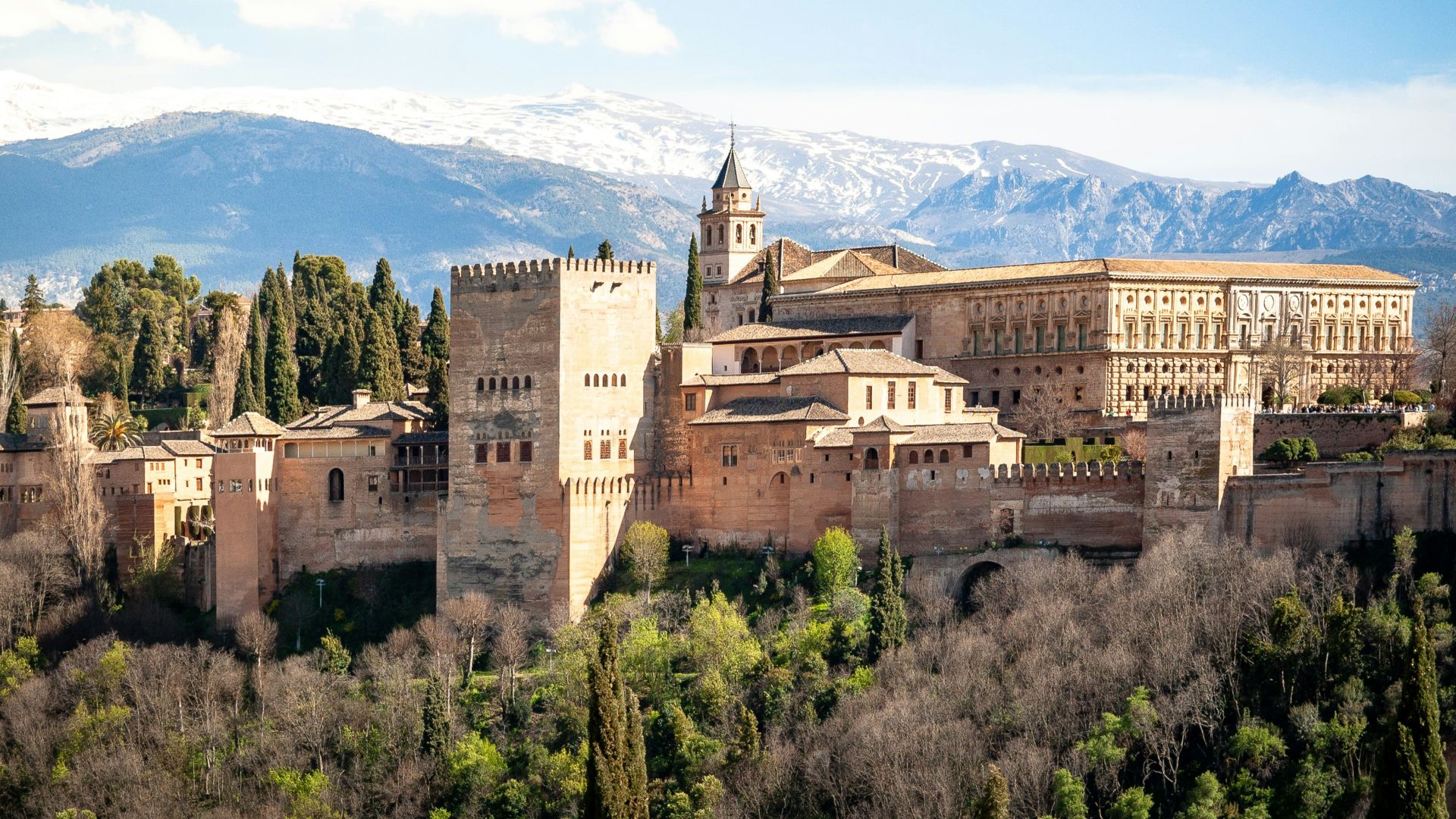 aerial photography of brown castle