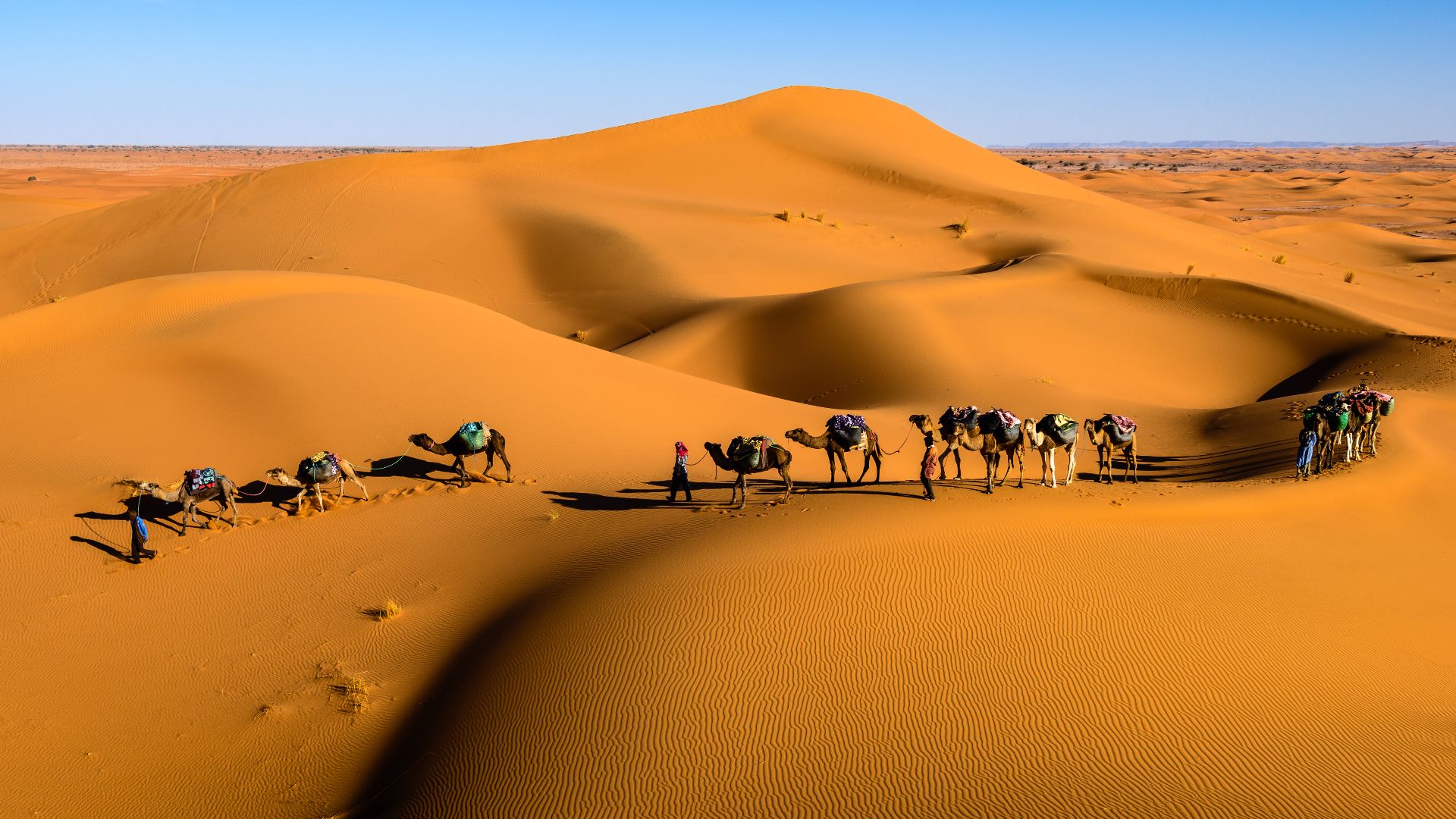 File:Caravan in the desert.jpg