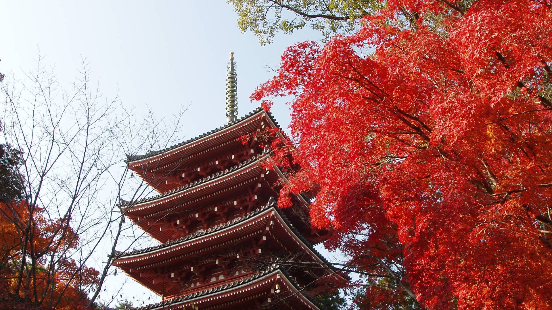 File:Chikurin-ji Temple - panoramio (1).jpg