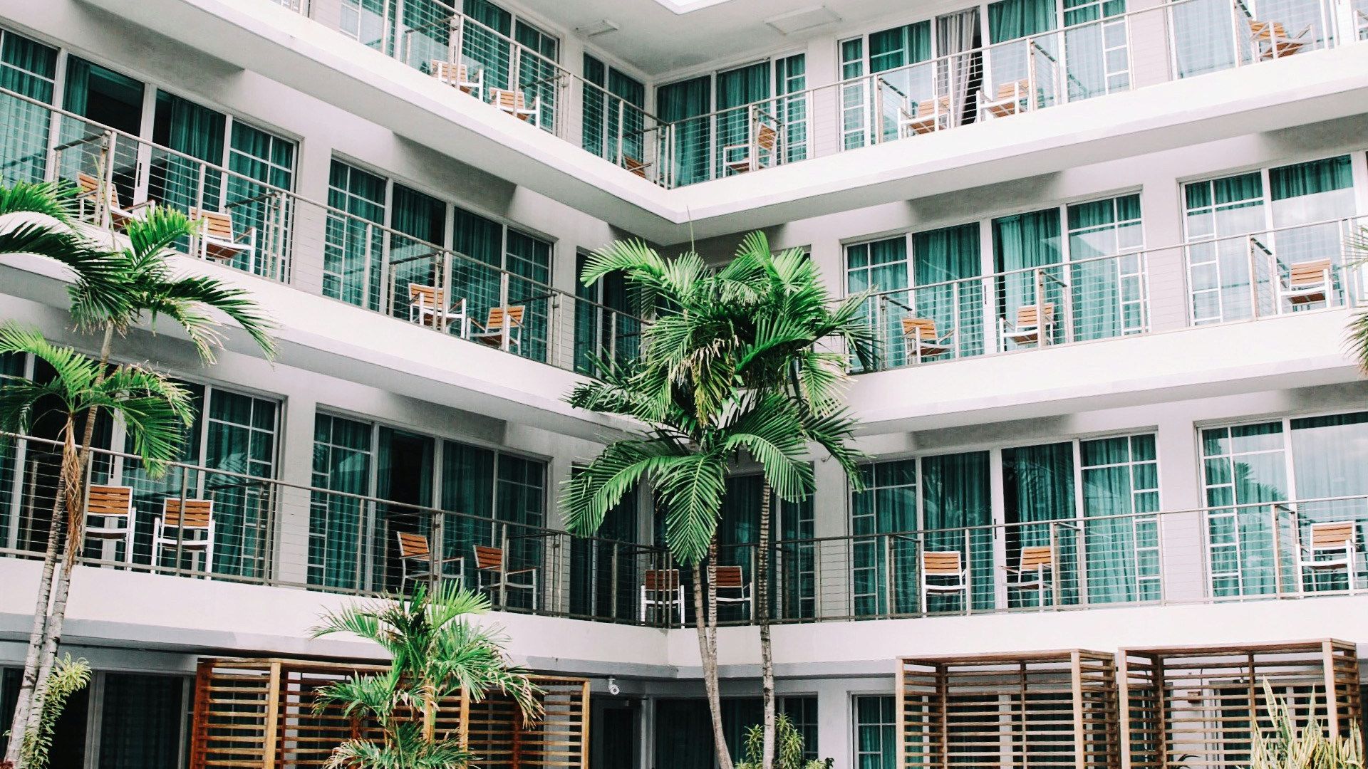 coconut palm trees in hotel lobby