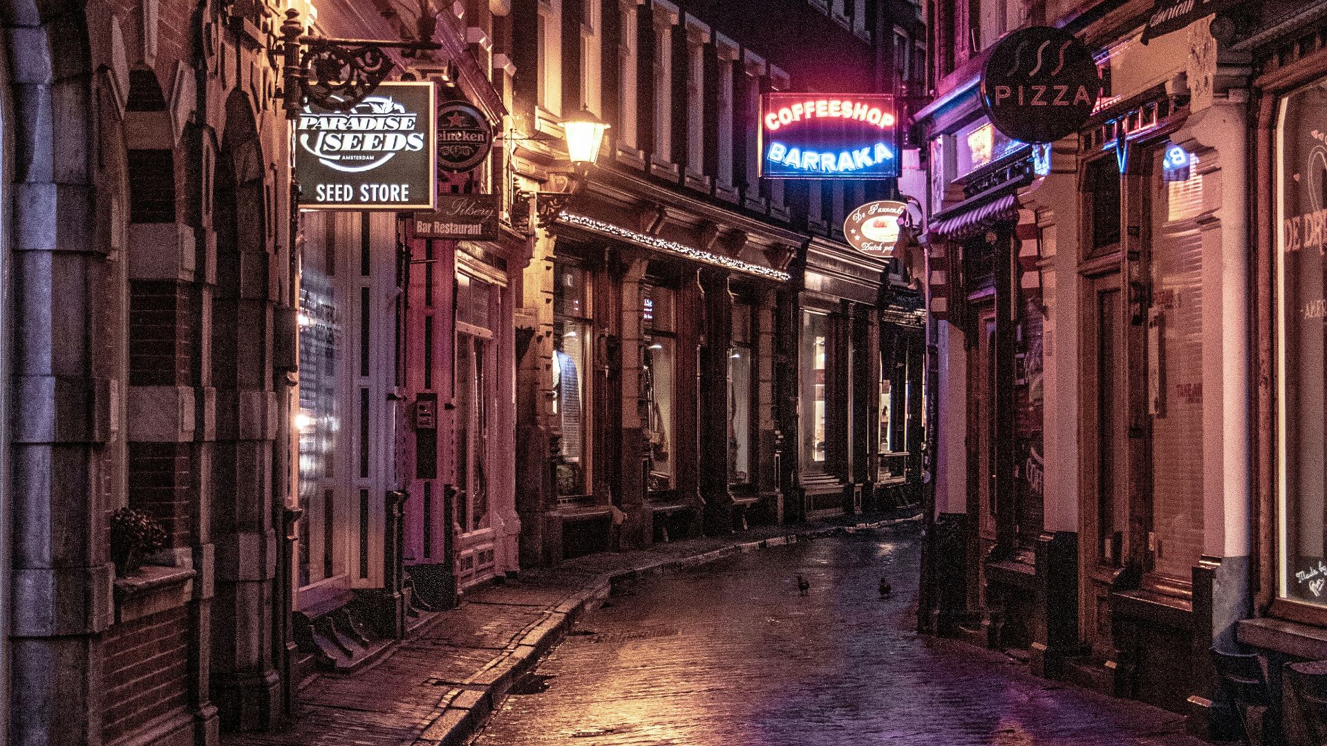 brown concrete building