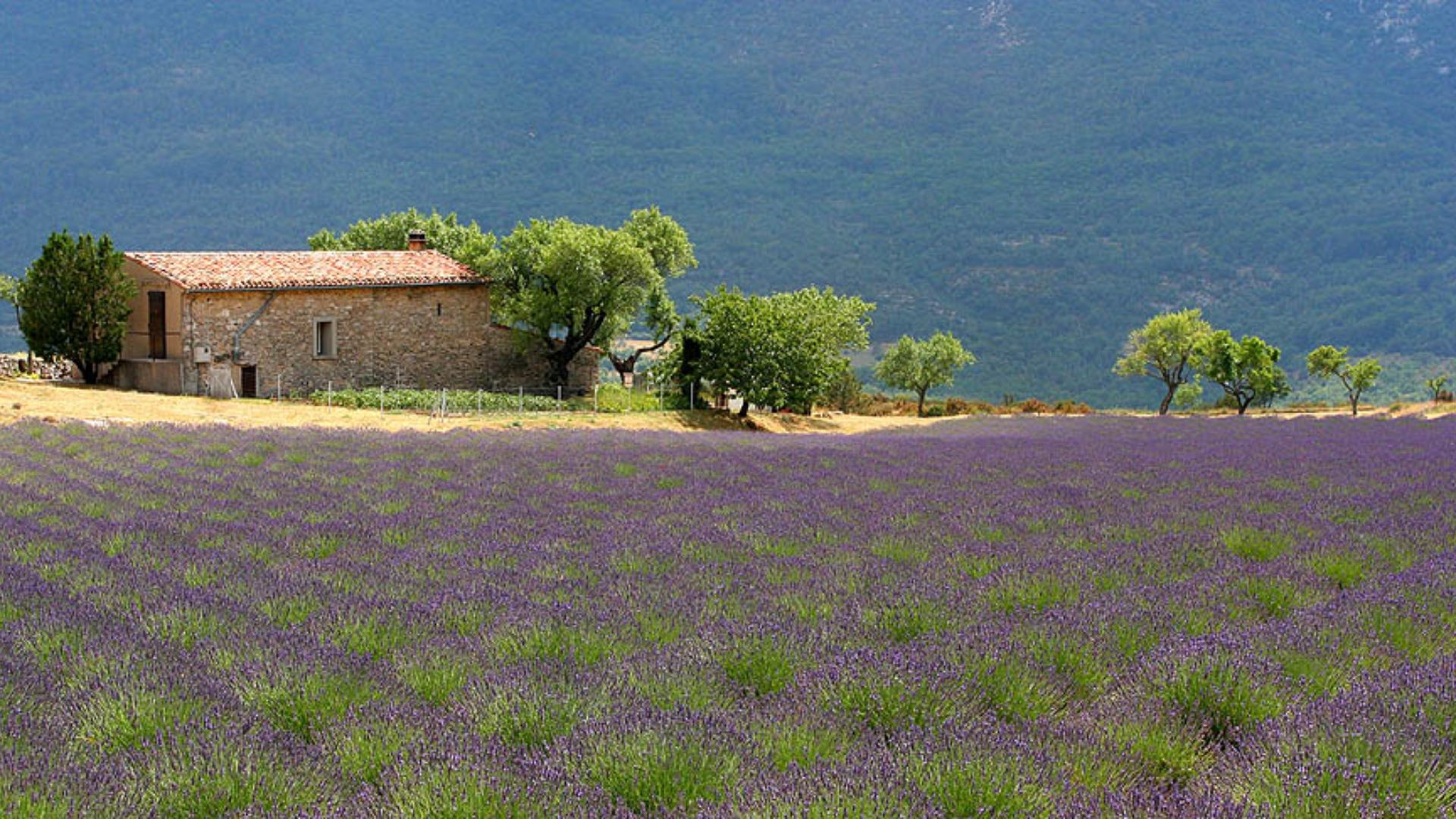 File:Landscape Provence France 1.jpg