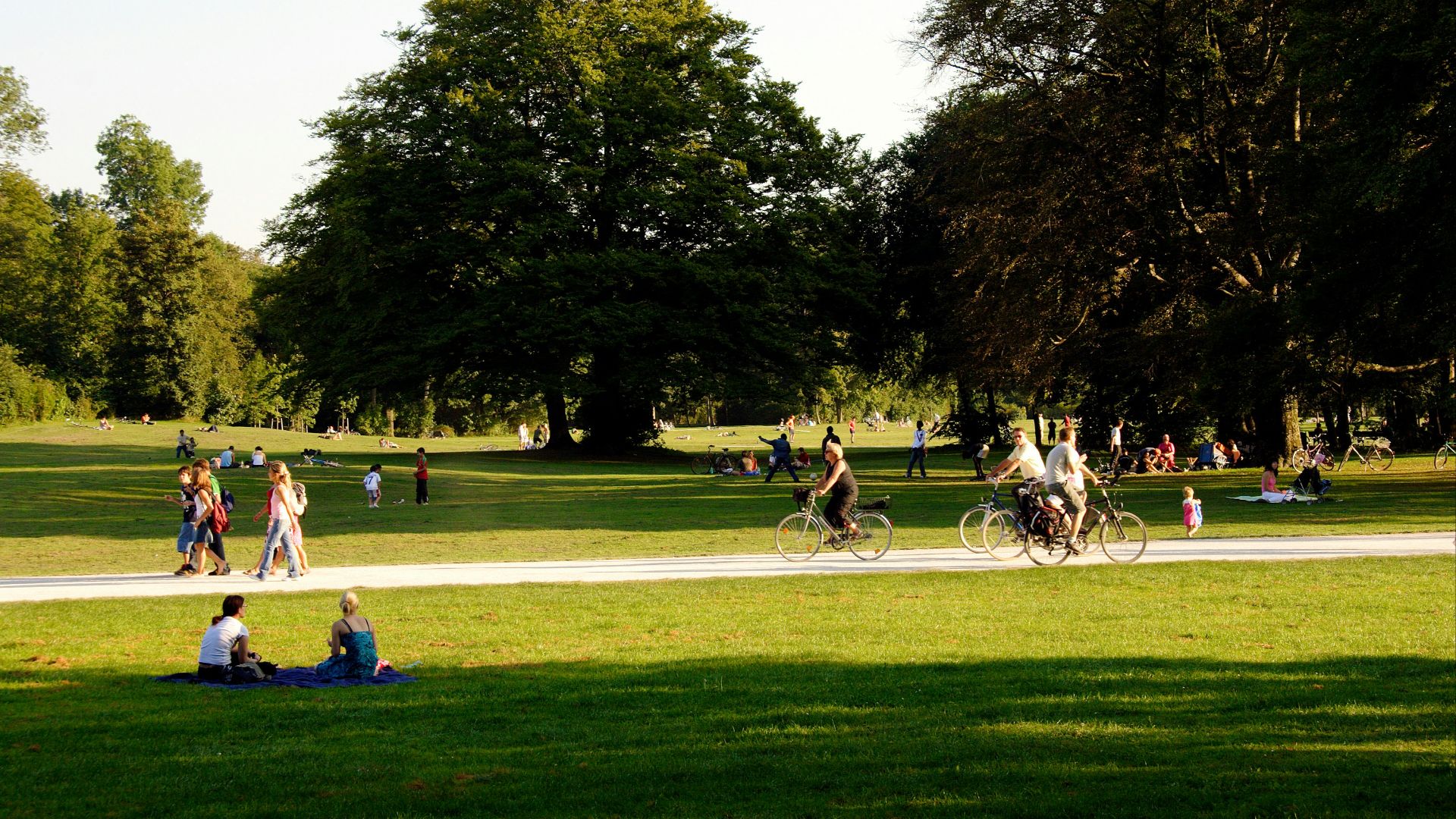 people playing soccer on green grass field during daytime