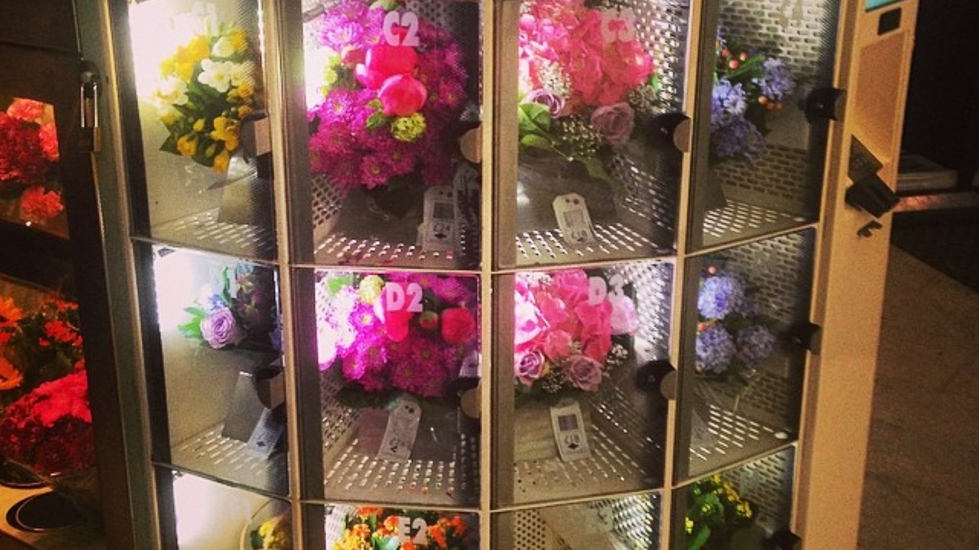 File:There is a bizarre 24hr flower vending machine at Blackfriars. How odd!.jpg