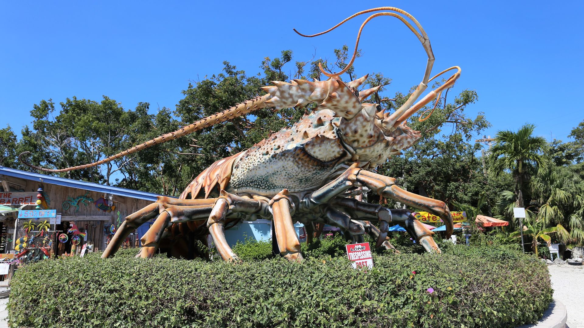 File:Mega Lobster 2018.jpg