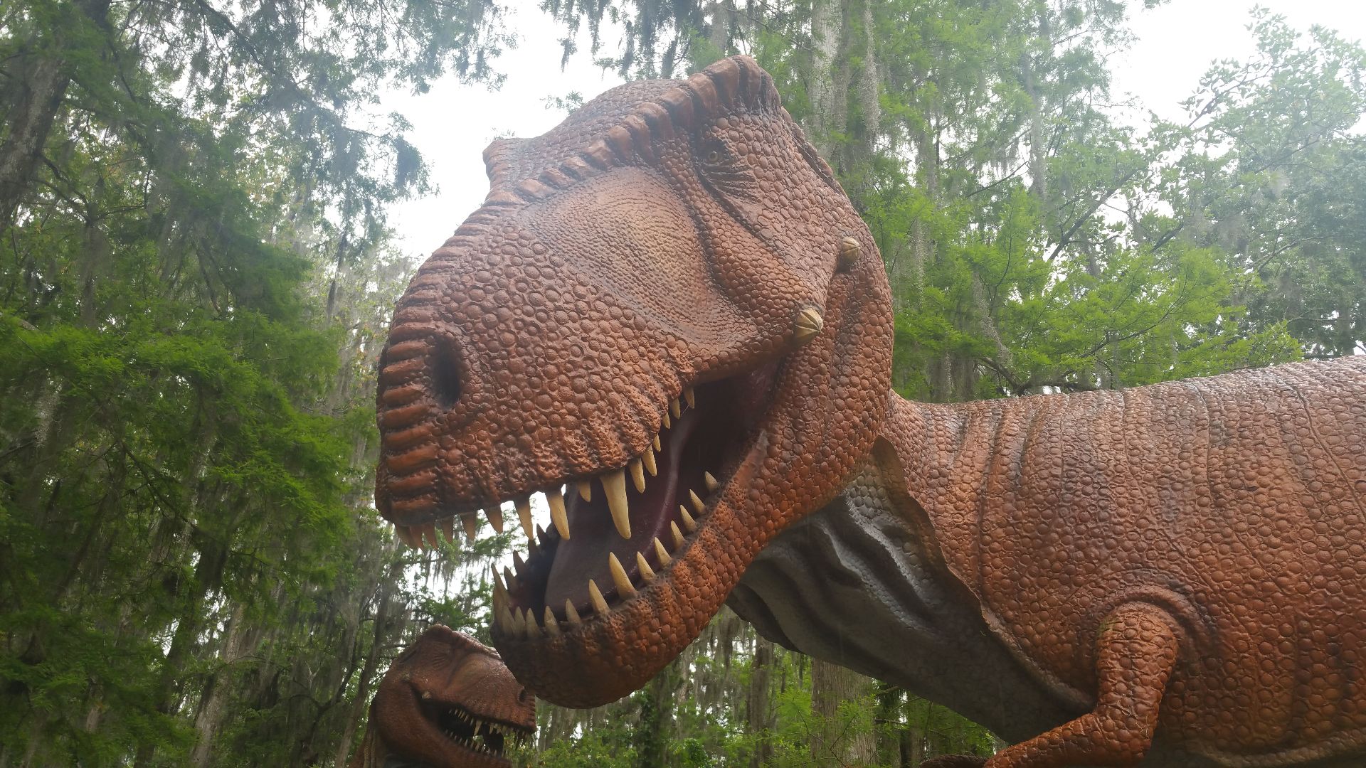 File:Dinosaur World, Plant City FL 2016 - panoramio.jpg