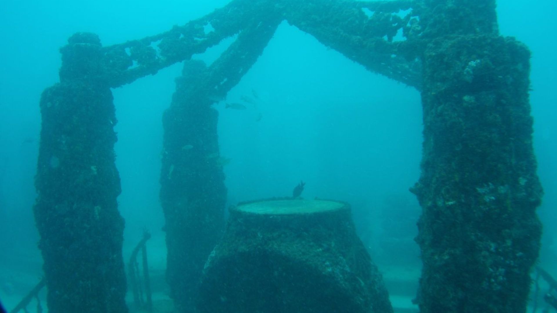 File:Neptune memorial reef 04.jpg