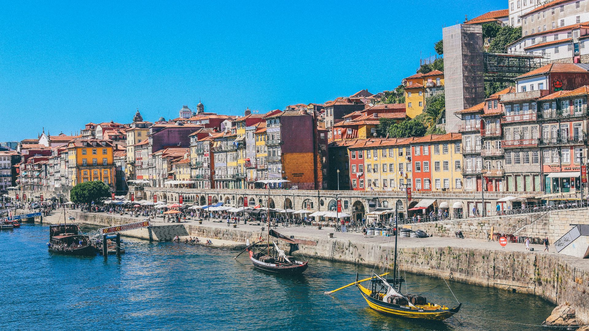 boats docked near seaside promenade]