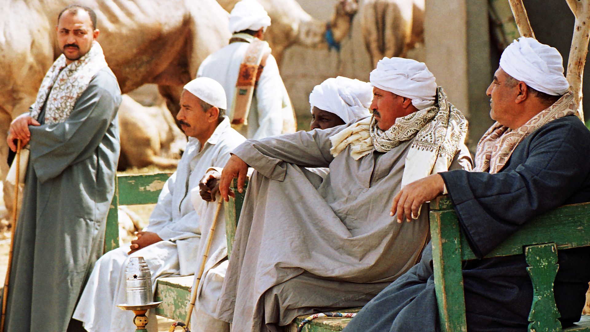 File:2 Birqash Camel Market, Cairo, Egypt.jpg