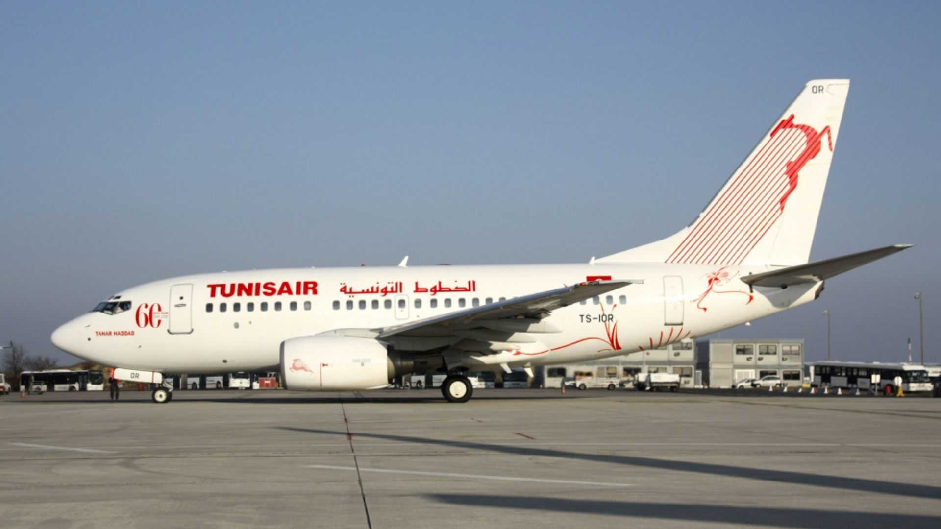 File:Tunisair Boeing 737-600 Volpati-1.jpg