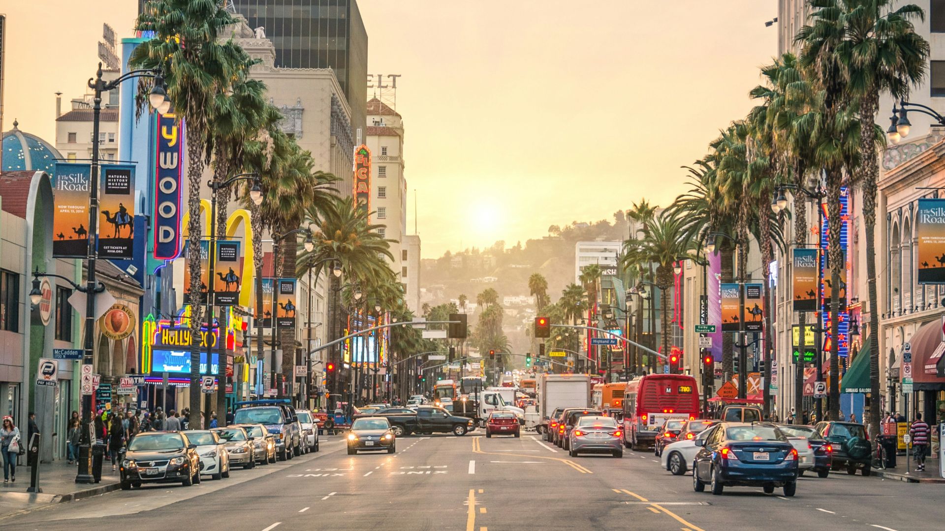 cars on road between high rise buildings during daytime