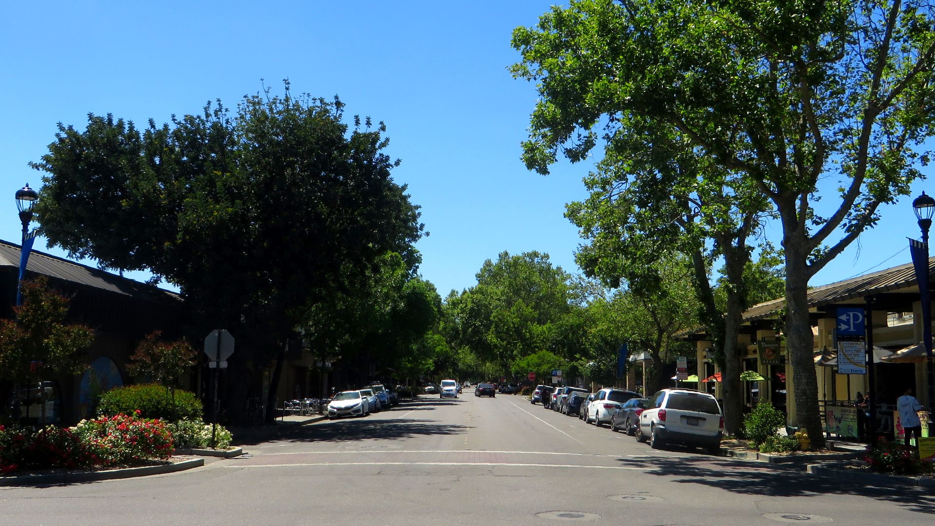File:Davis, California (34707821106).jpg