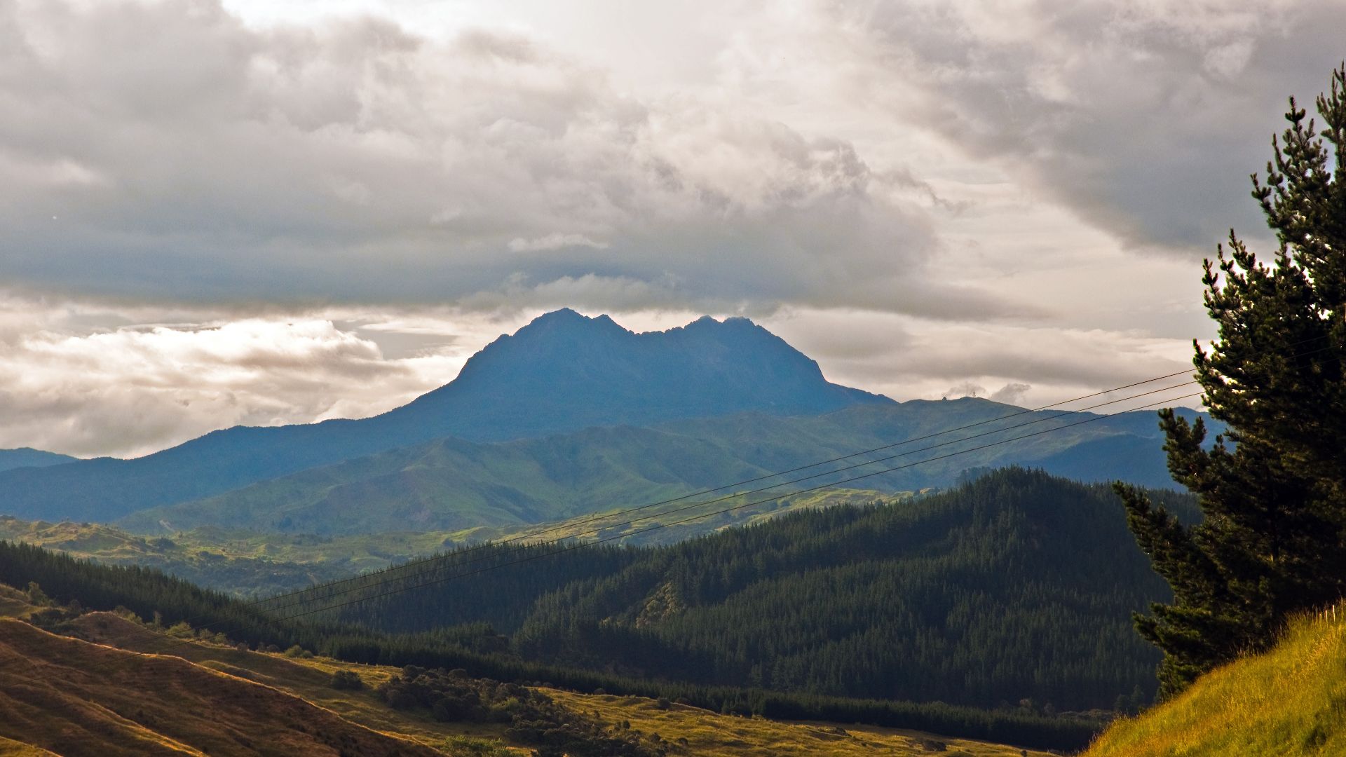 File:Hikurangi, East Coast, New Zealand, 14th. Dec. 2010 - Flickr - PhillipC (1).jpg