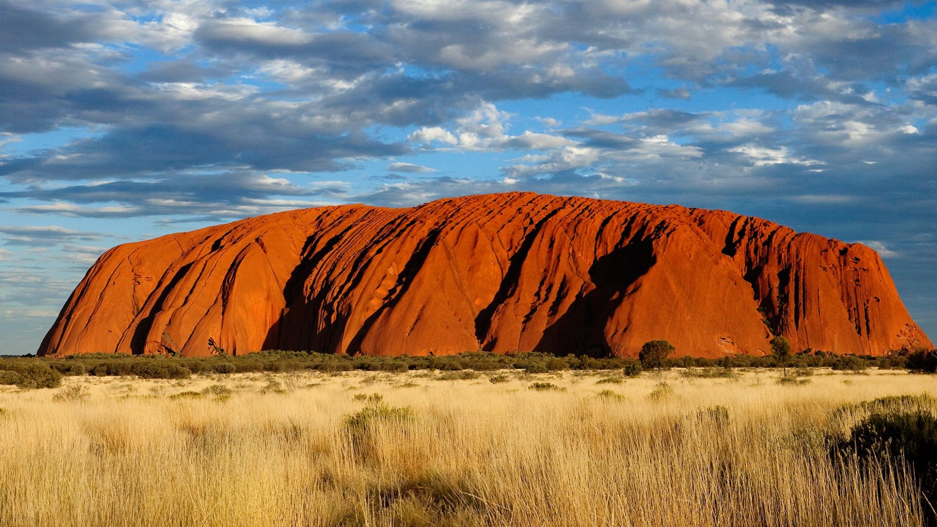 File:ULURU.jpg