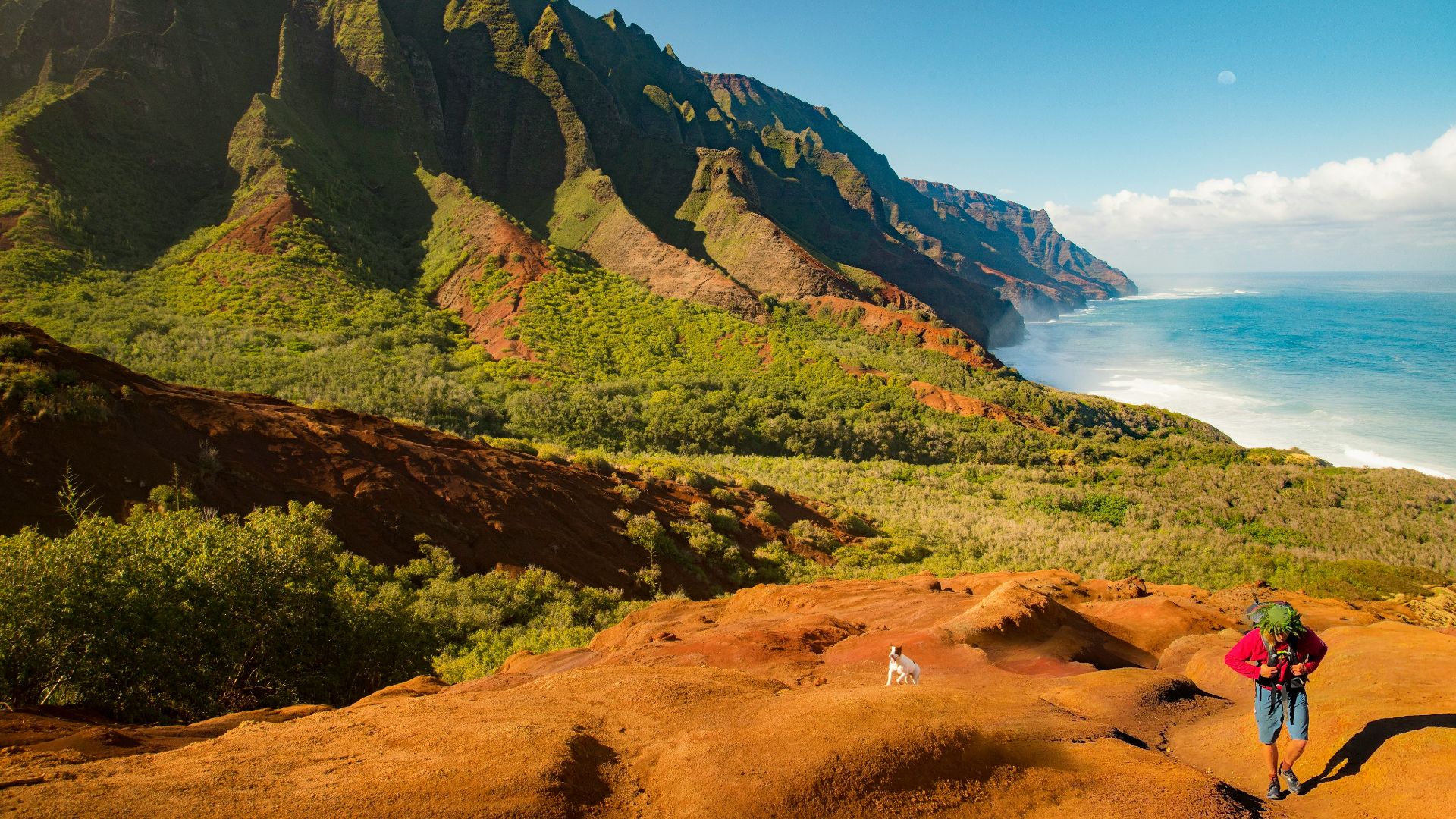 green and brown mountain beside body of water during daytime