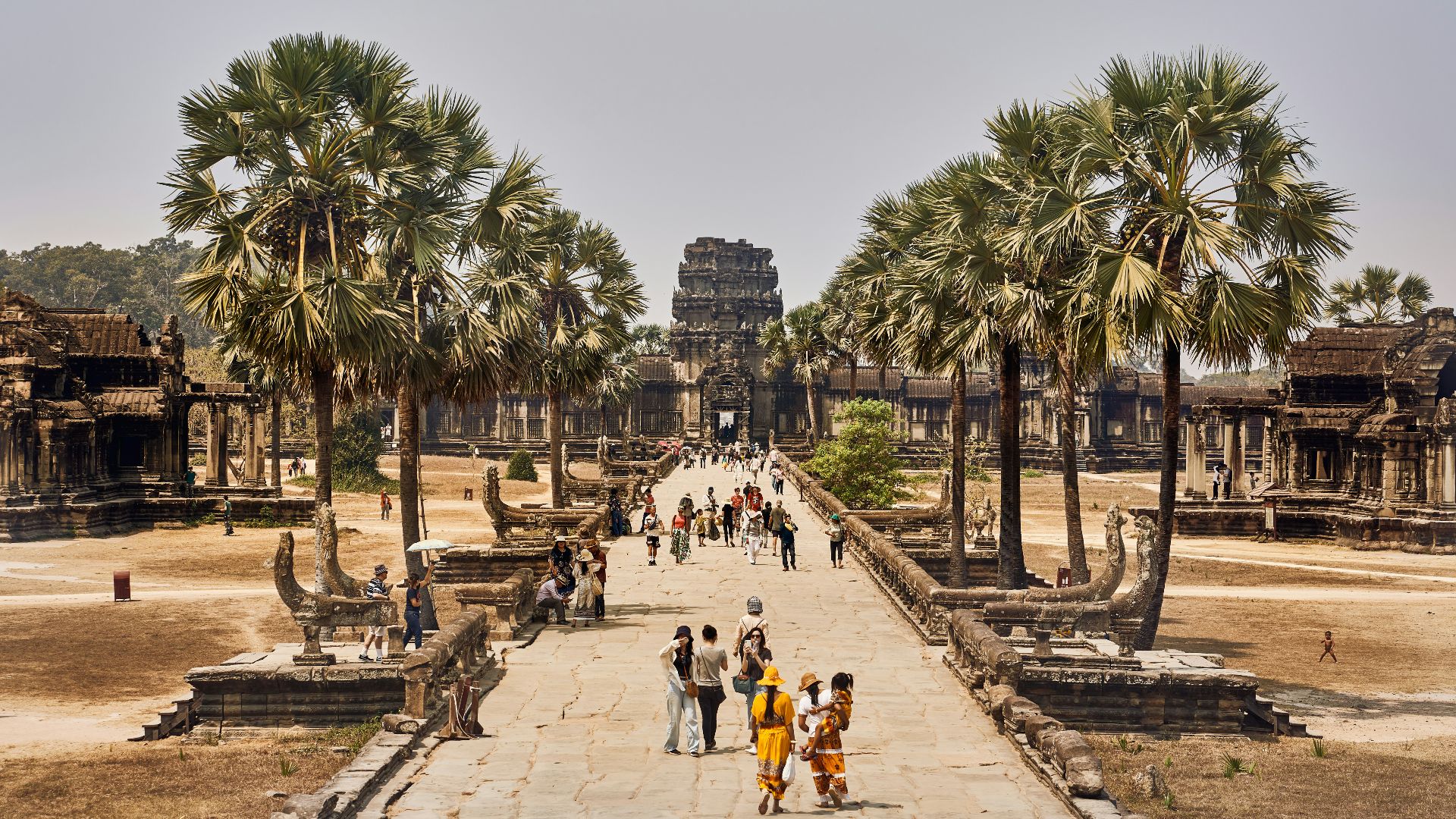 a group of people walking down a walkway next to palm trees