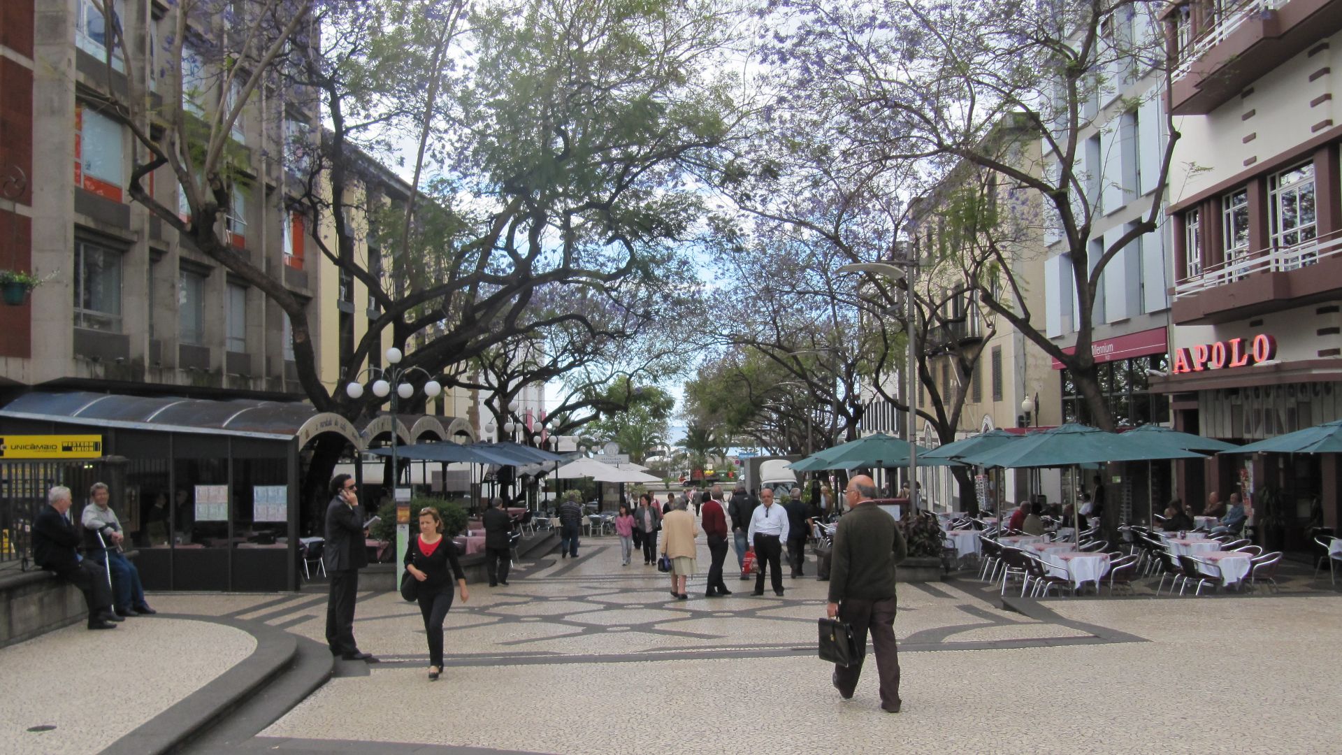 File:Madeira em Abril de 2011 IMG 1688 (5663725640).jpg