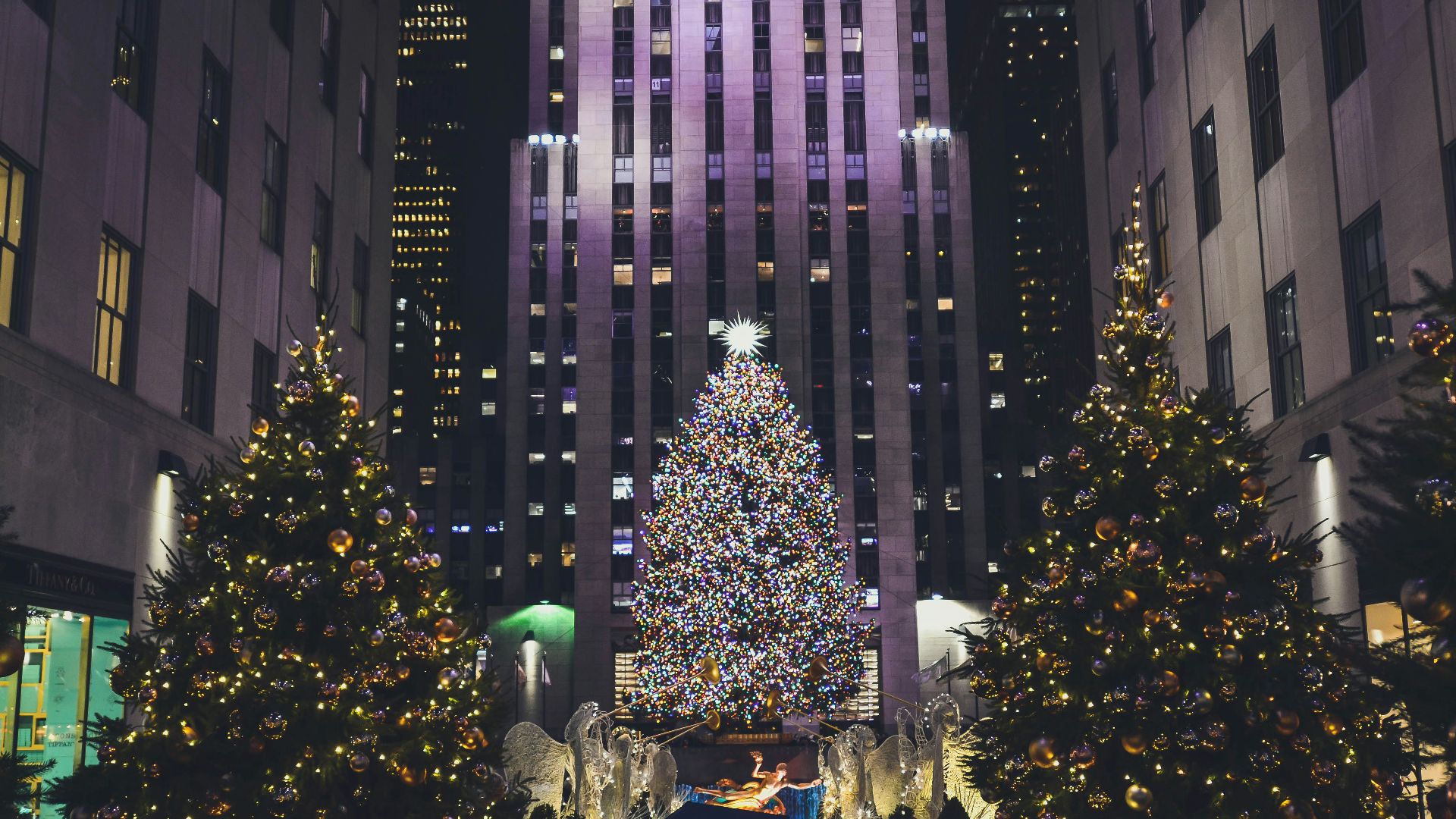 lighted Christmas trees