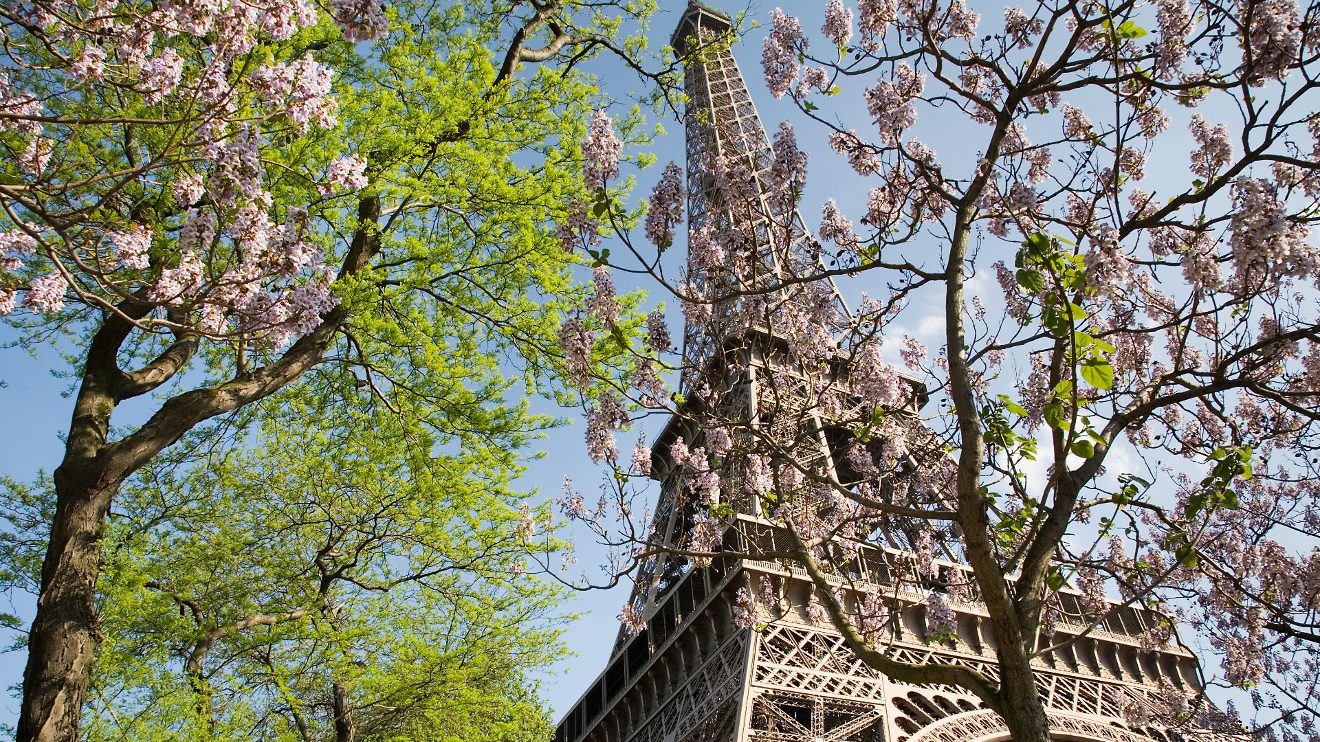 File:Paris - The Eiffel Tower in spring - 2307.jpg