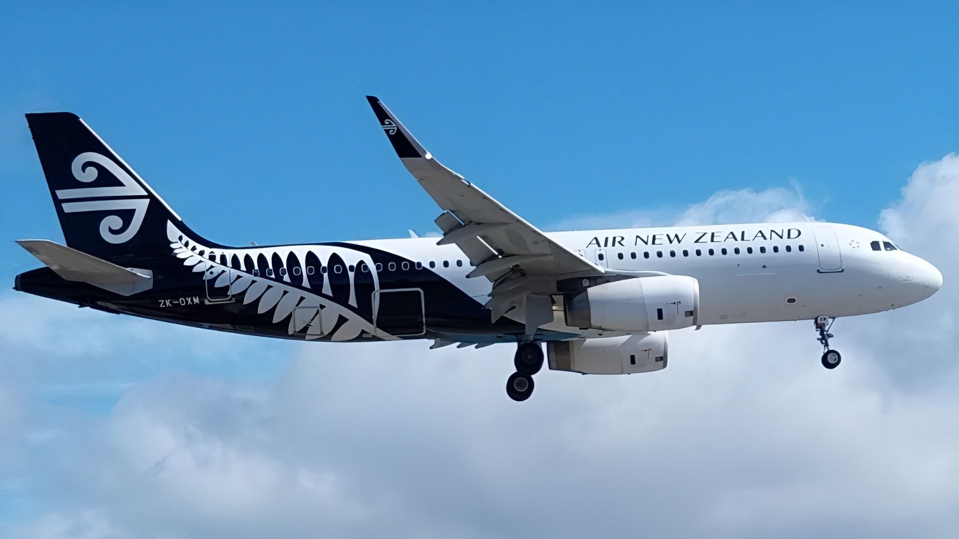File:ZK-OXM NZWN 2 April 2023.jpg