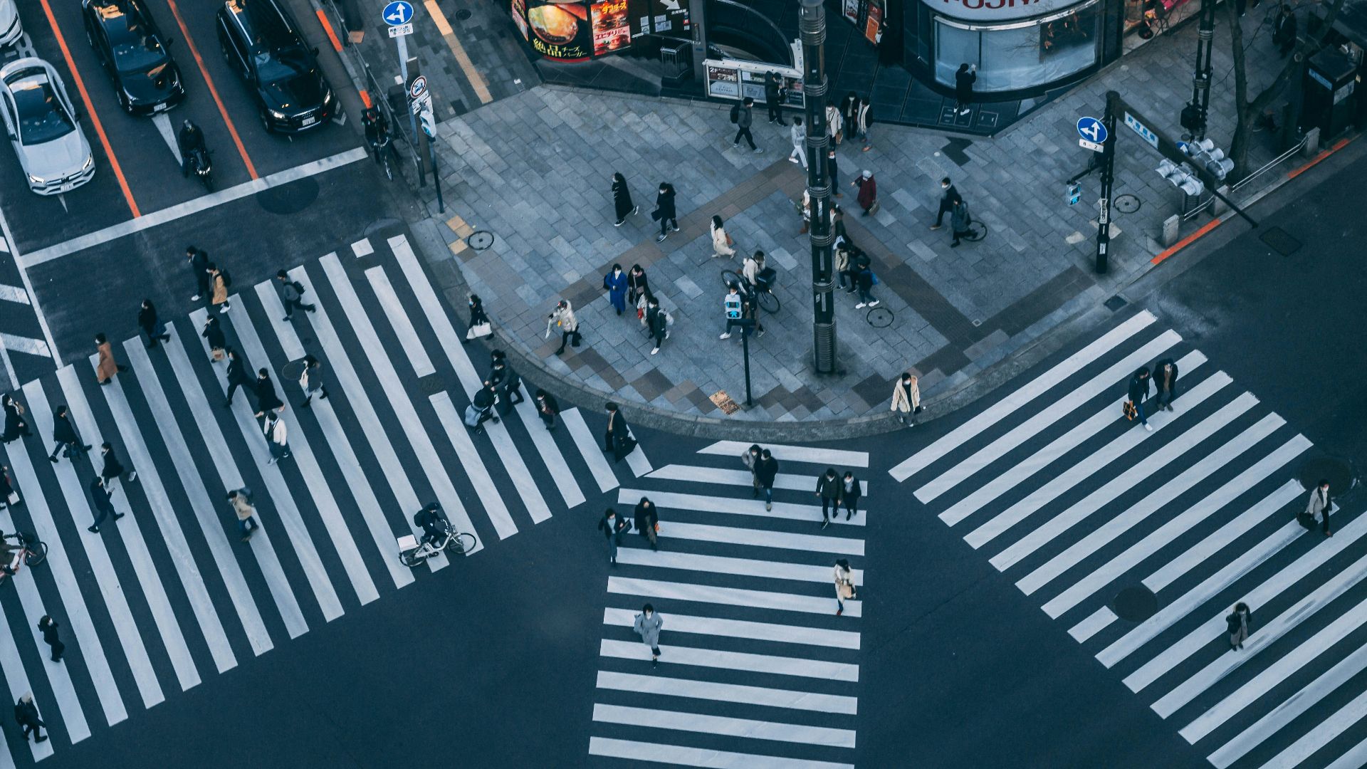 people walking on pedestrian lane during daytime