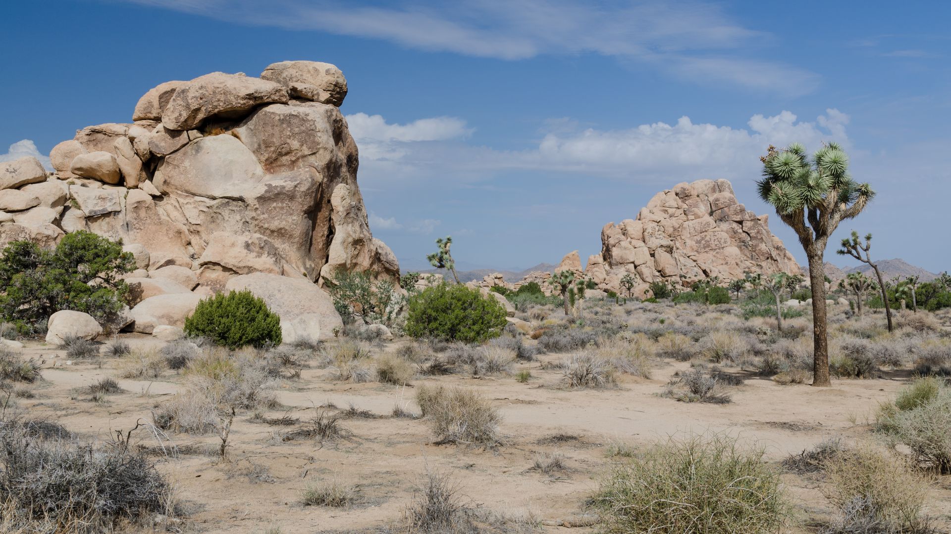 The 20 Best Solo Camping Spots - 17533558152a3568716bb851fac8e4c57c082e6e7592042be1