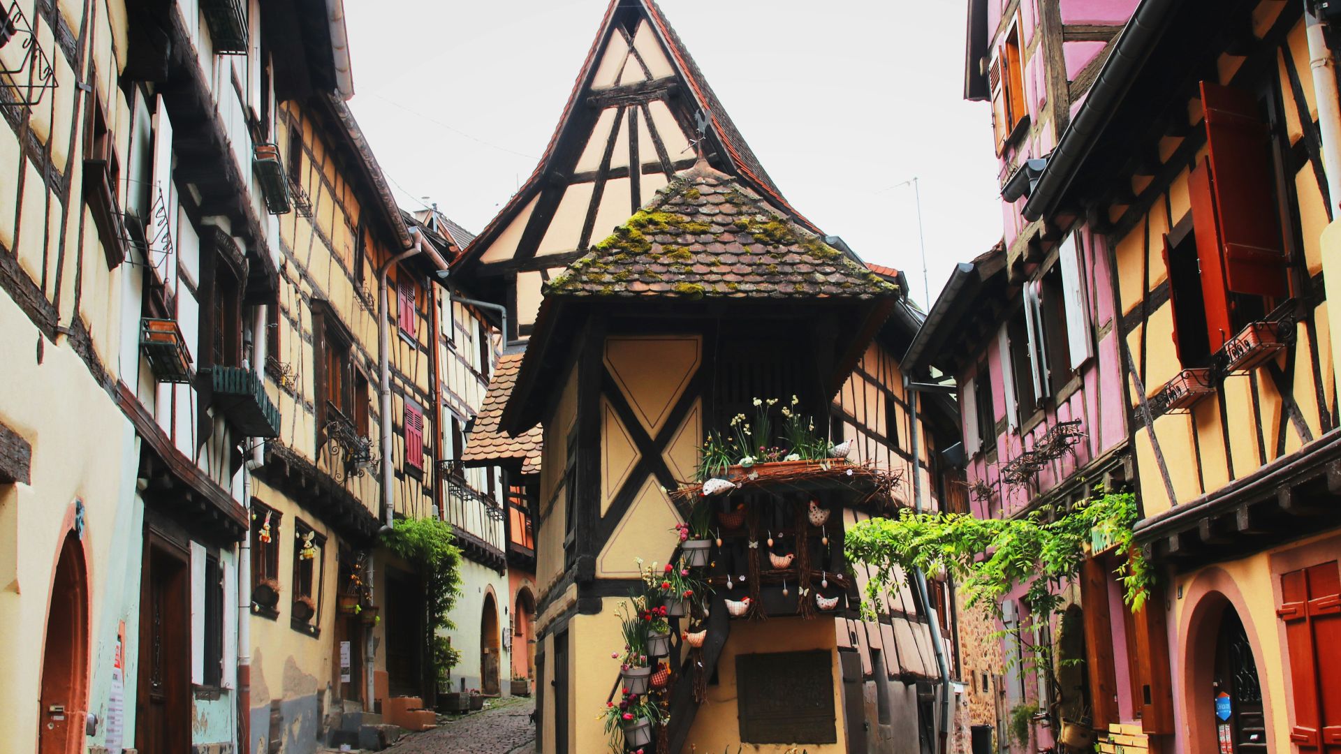 empty road between houses