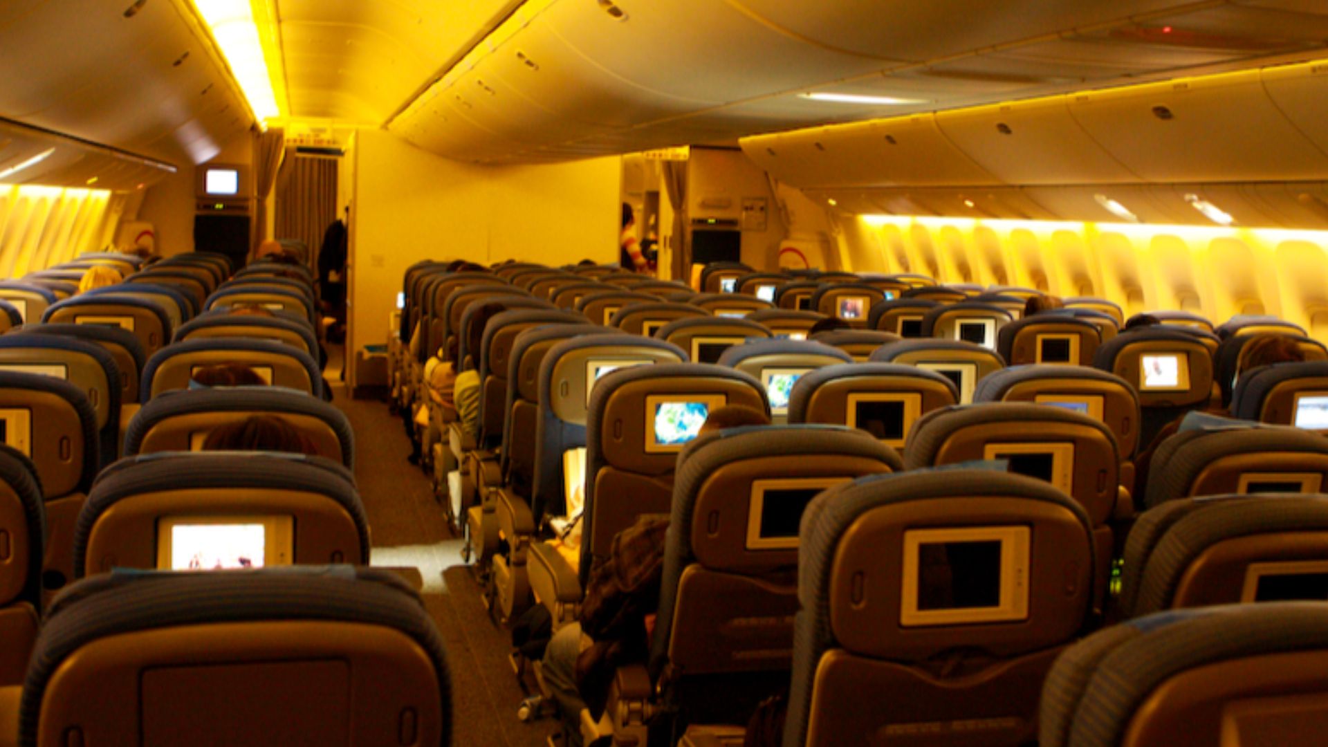File:ANA Economy Class 777.jpg