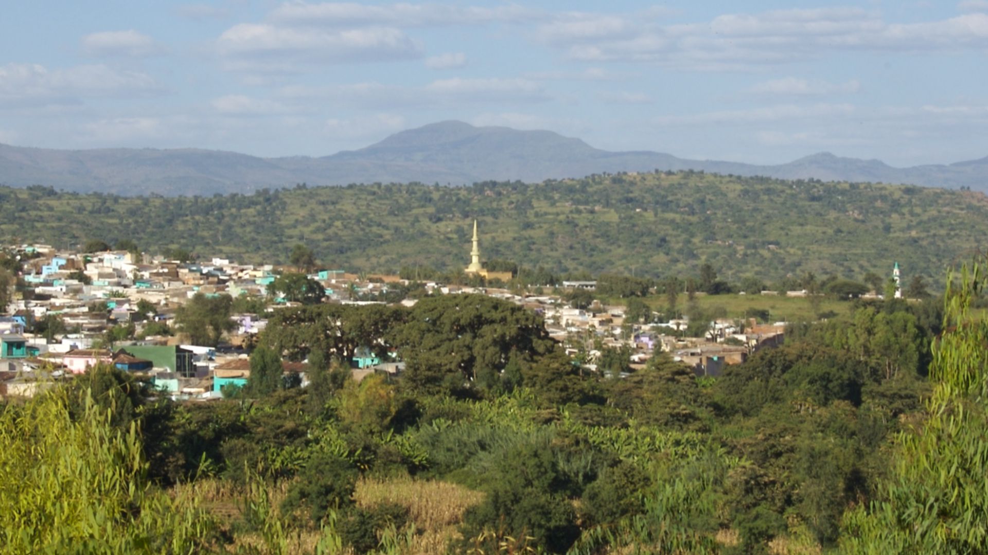 File:A View of Harar, Ethiopia (2144242835).jpg