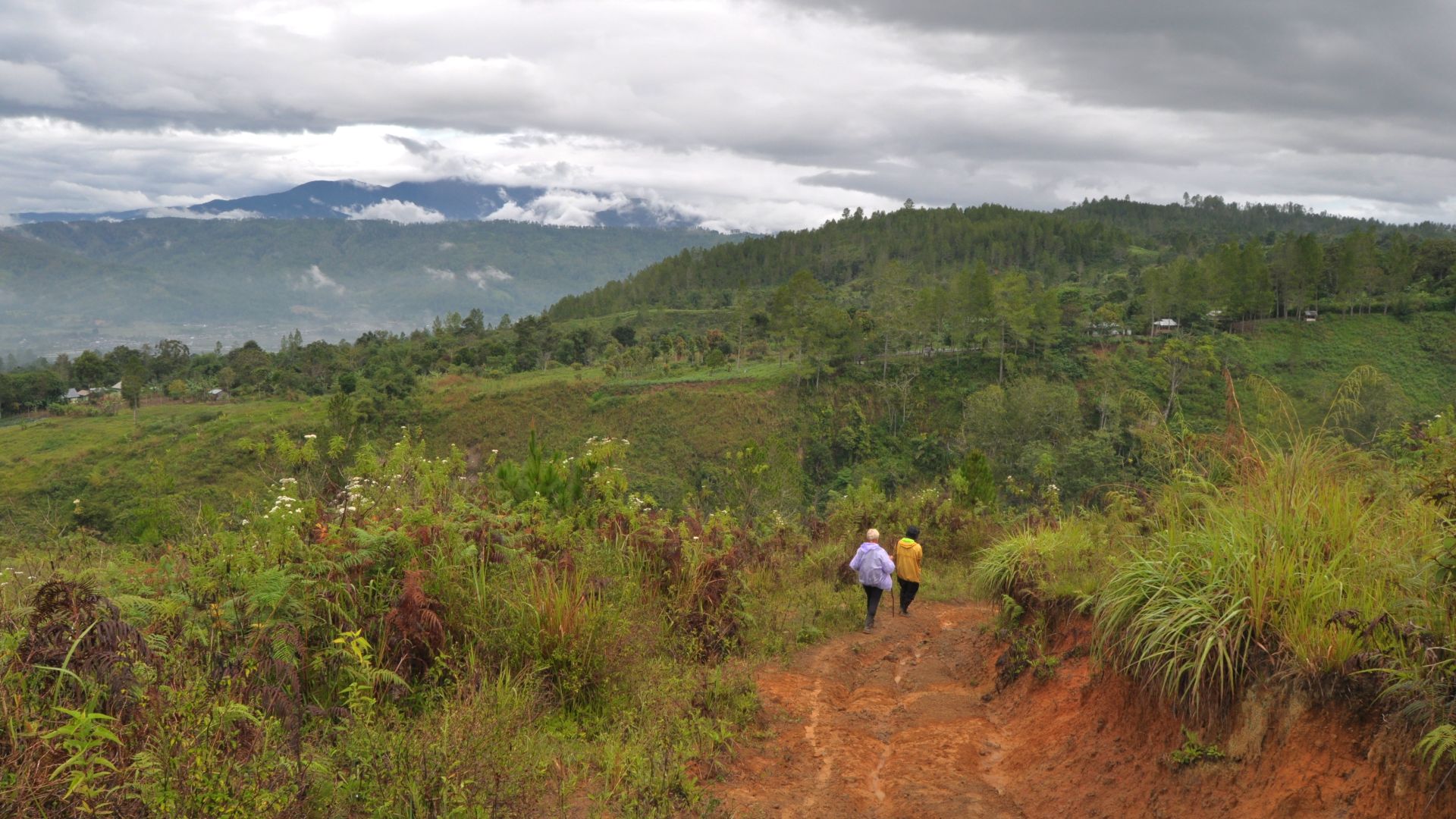 File:Sumatra indonesia kedah (24876881152).jpg