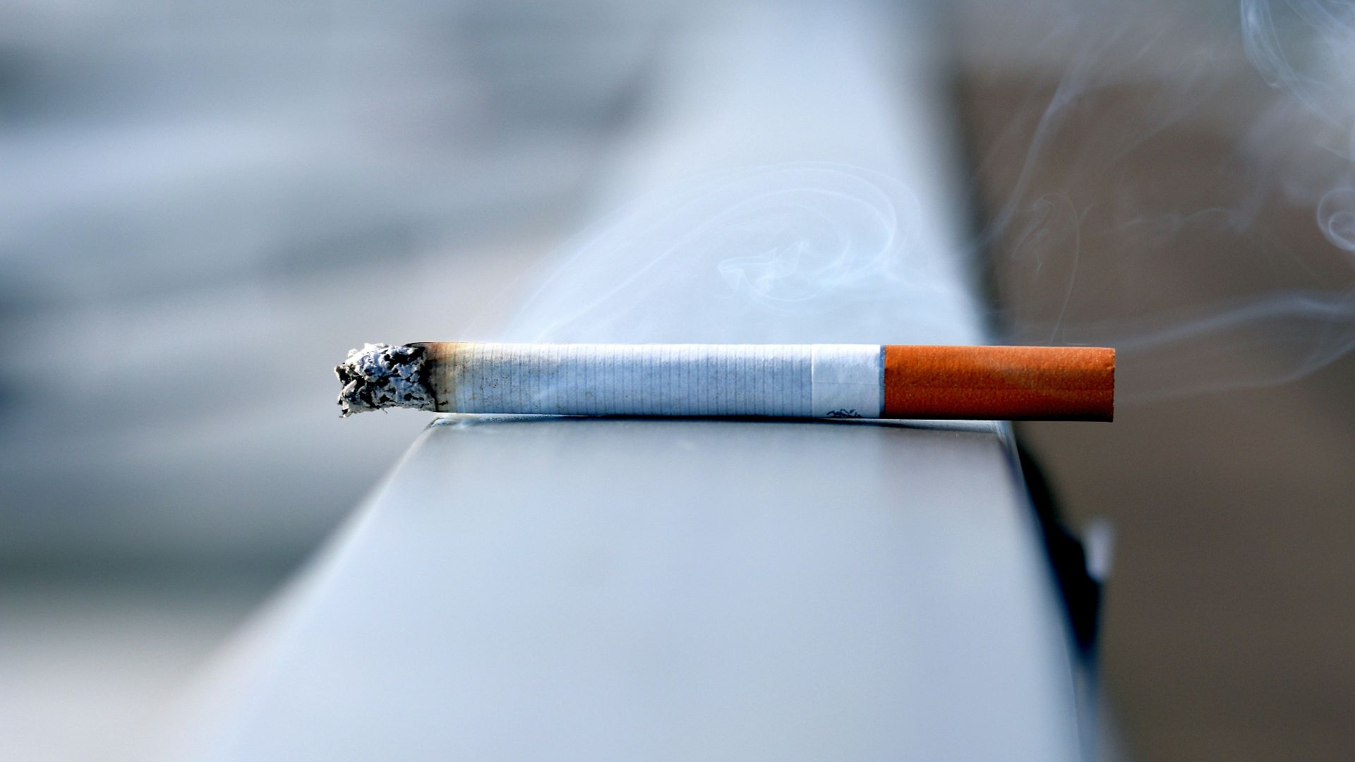 white cigarette stick on white wall