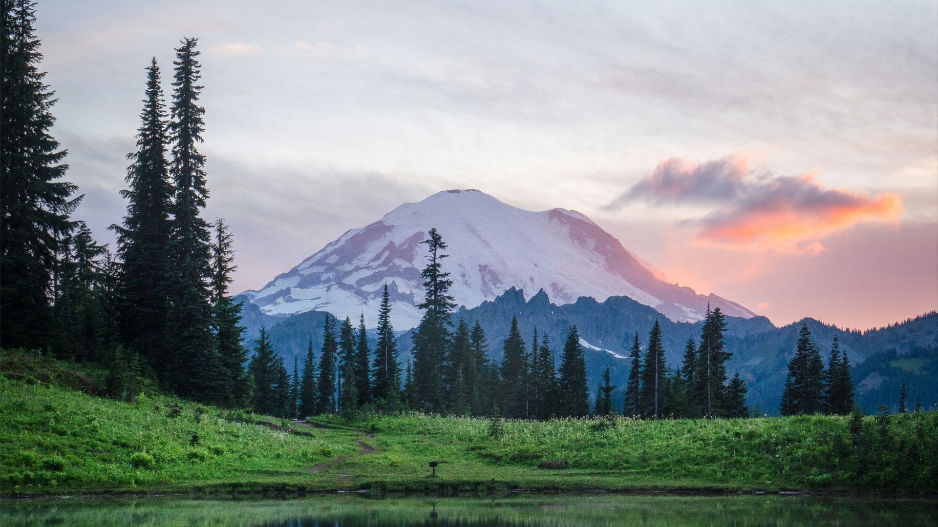 green pine trees near lake during daytime